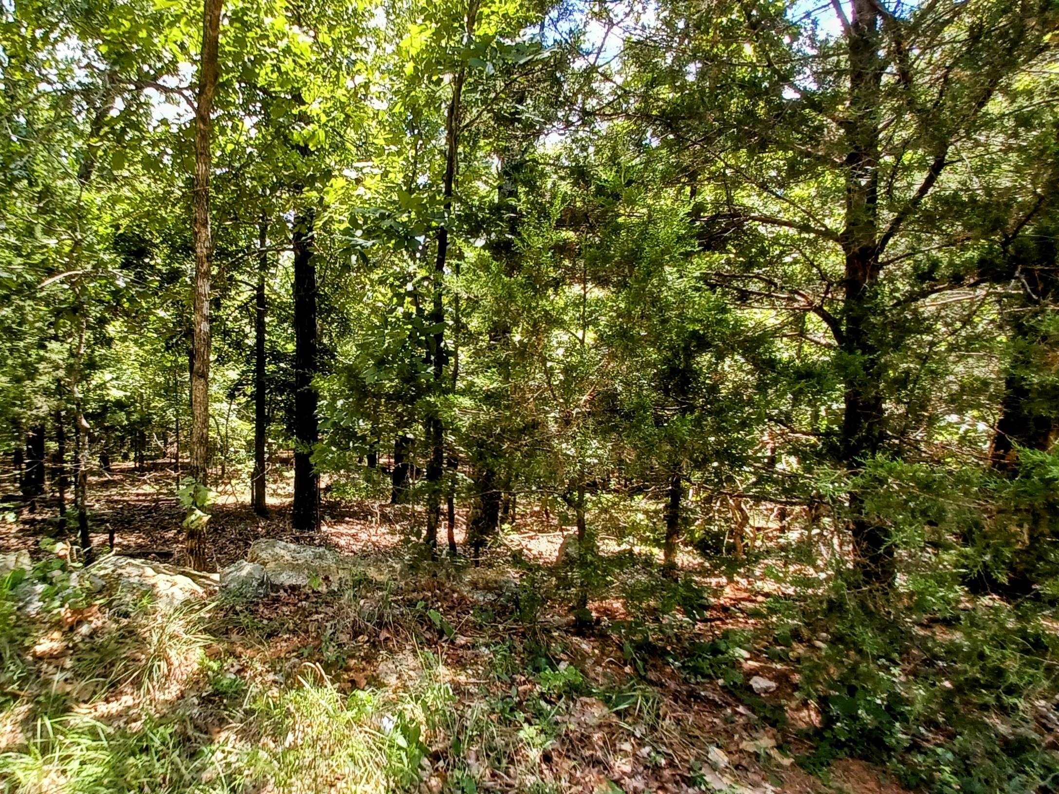 901 Primrose  Horseshoe Bend, AR