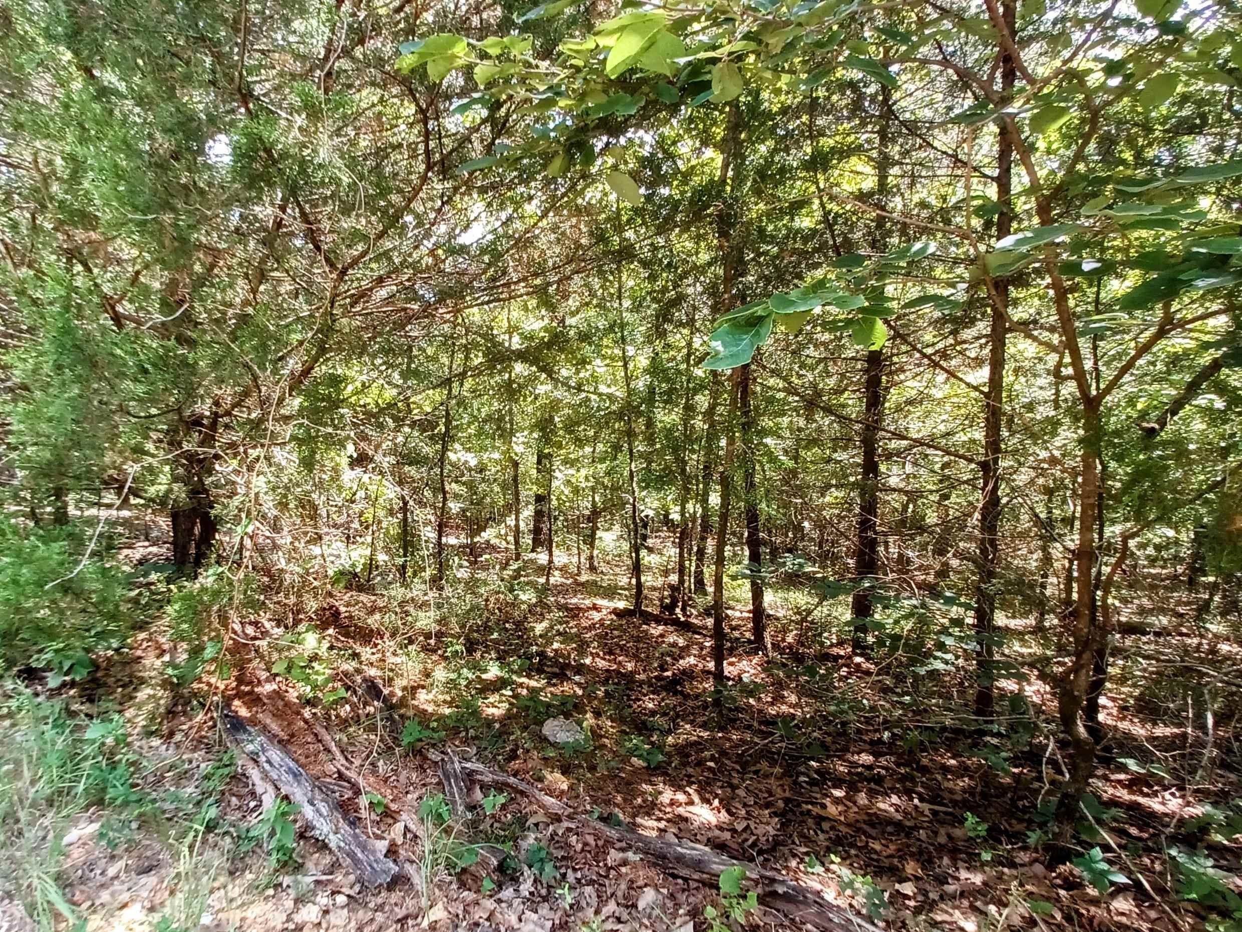 901 Primrose  Horseshoe Bend, AR