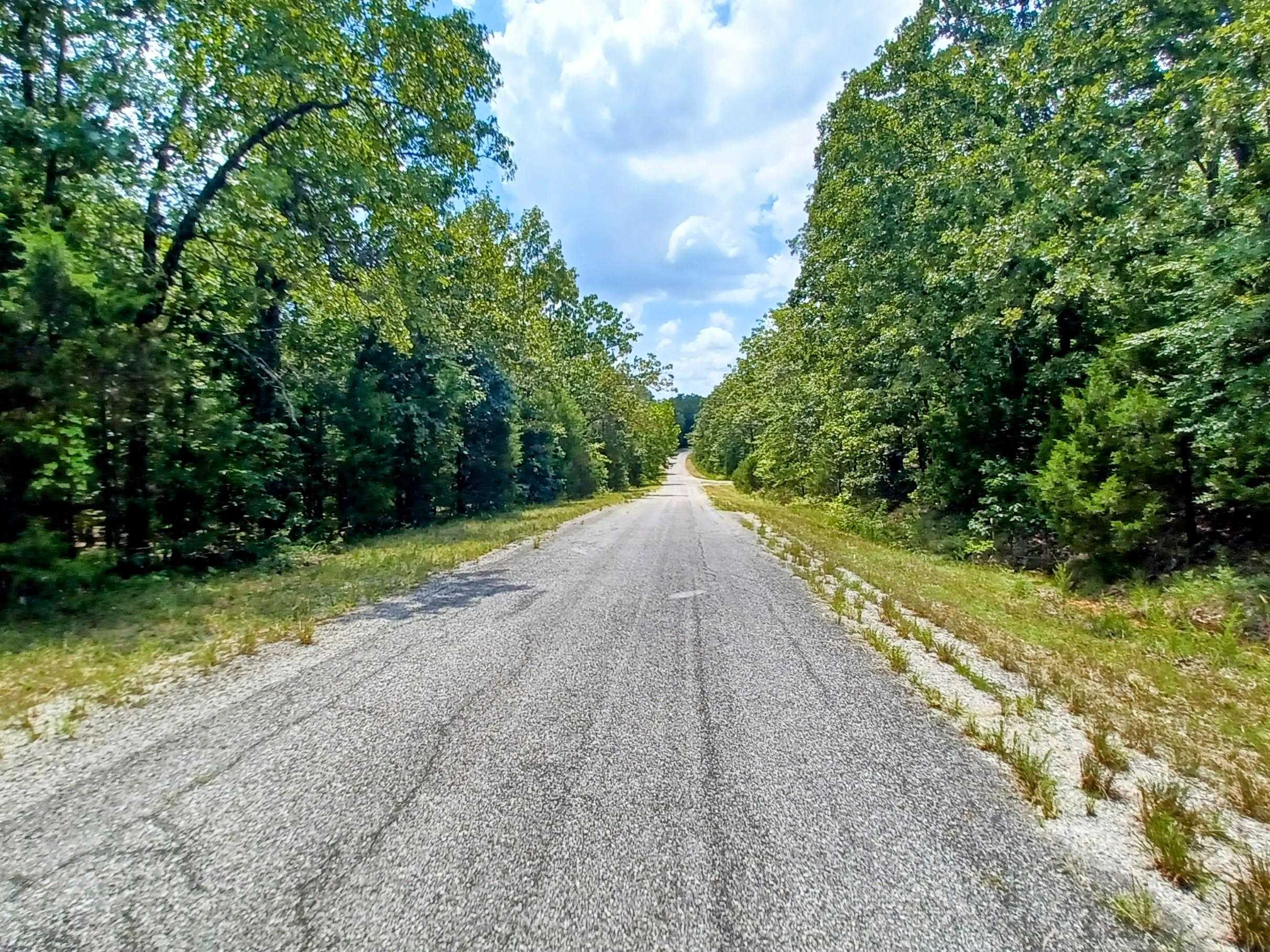 901 Primrose  Horseshoe Bend, AR