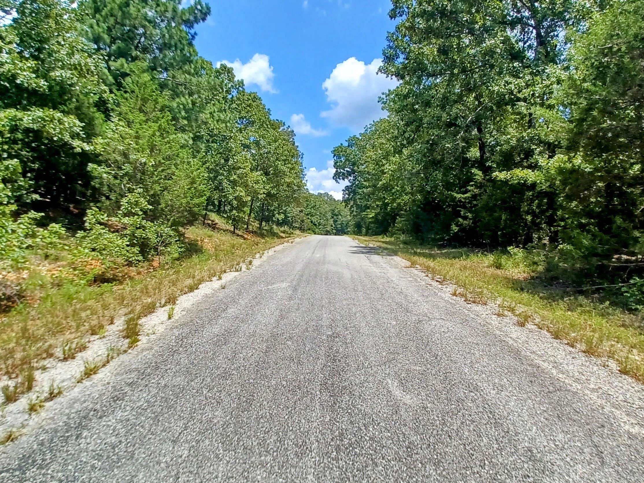 901 Primrose  Horseshoe Bend, AR
