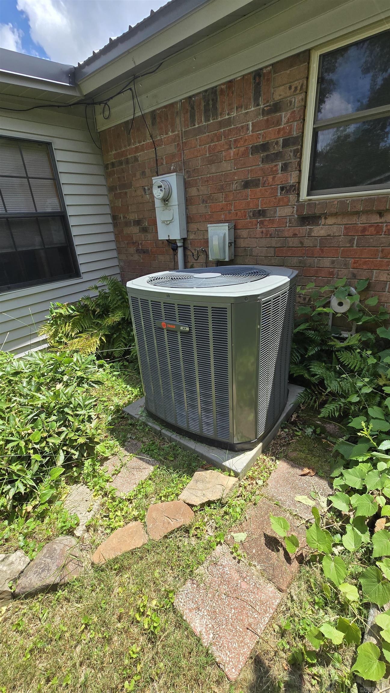 28 Cattails  Searcy, AR