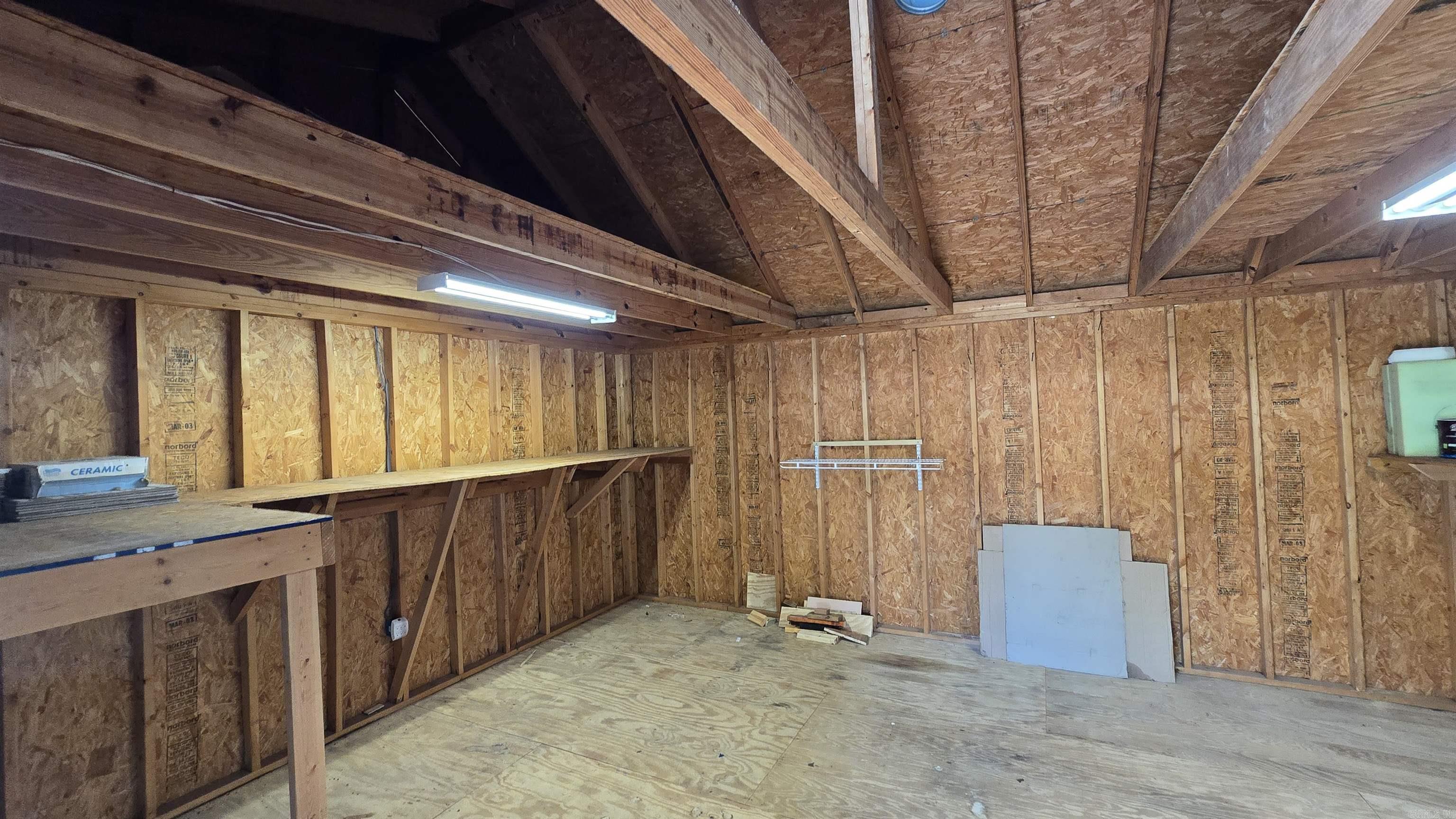 28 Cattails  Searcy, AR