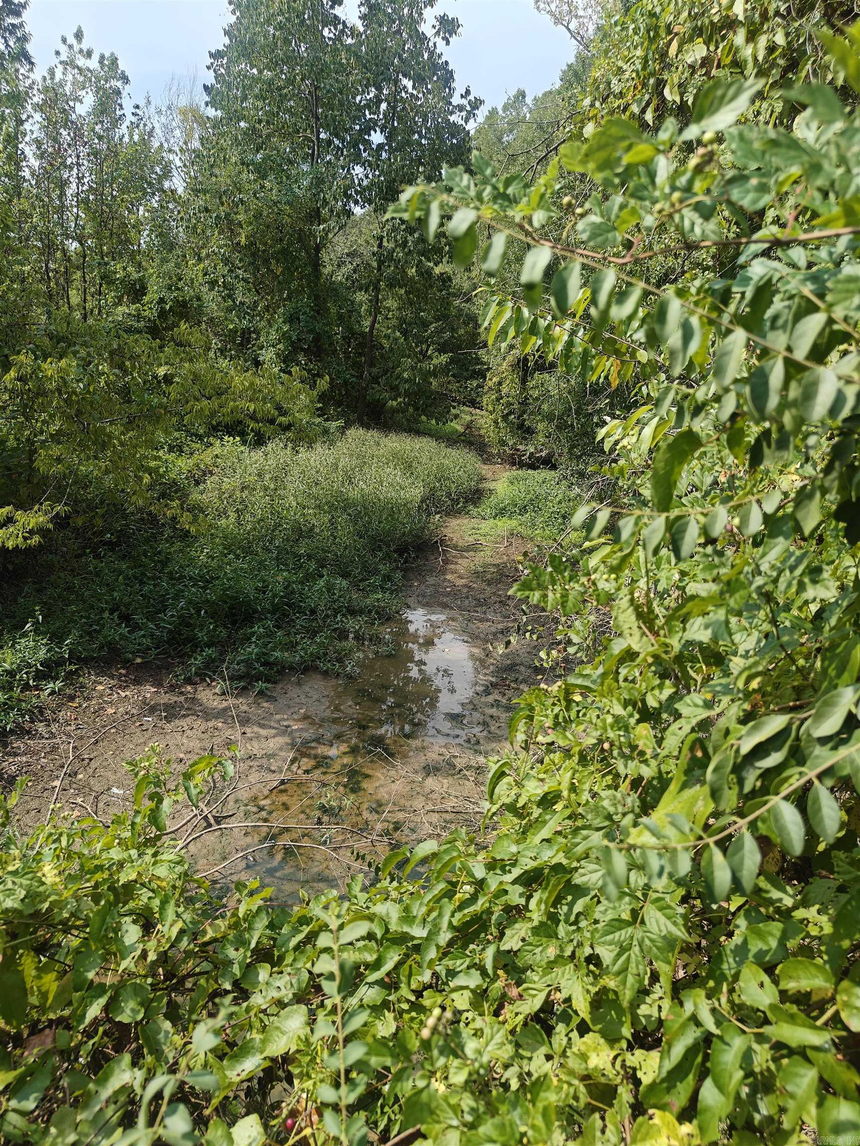 00 McCain  Jacksonville, AR