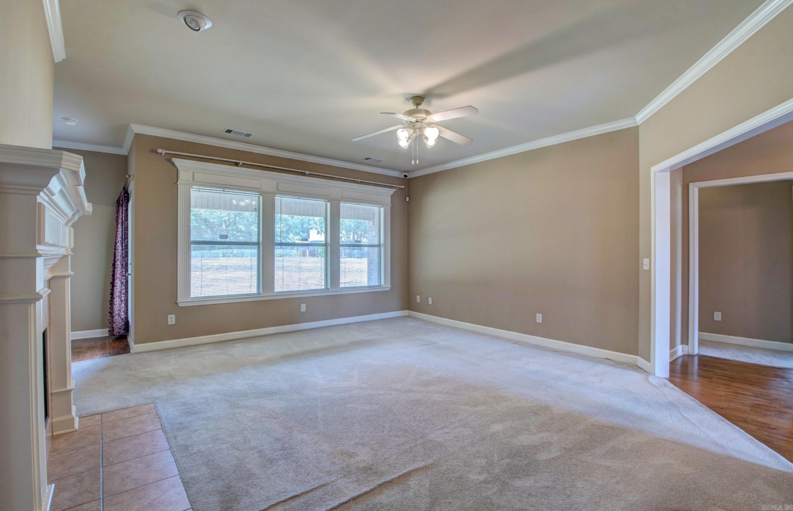 8 Brittany  Little Rock, AR