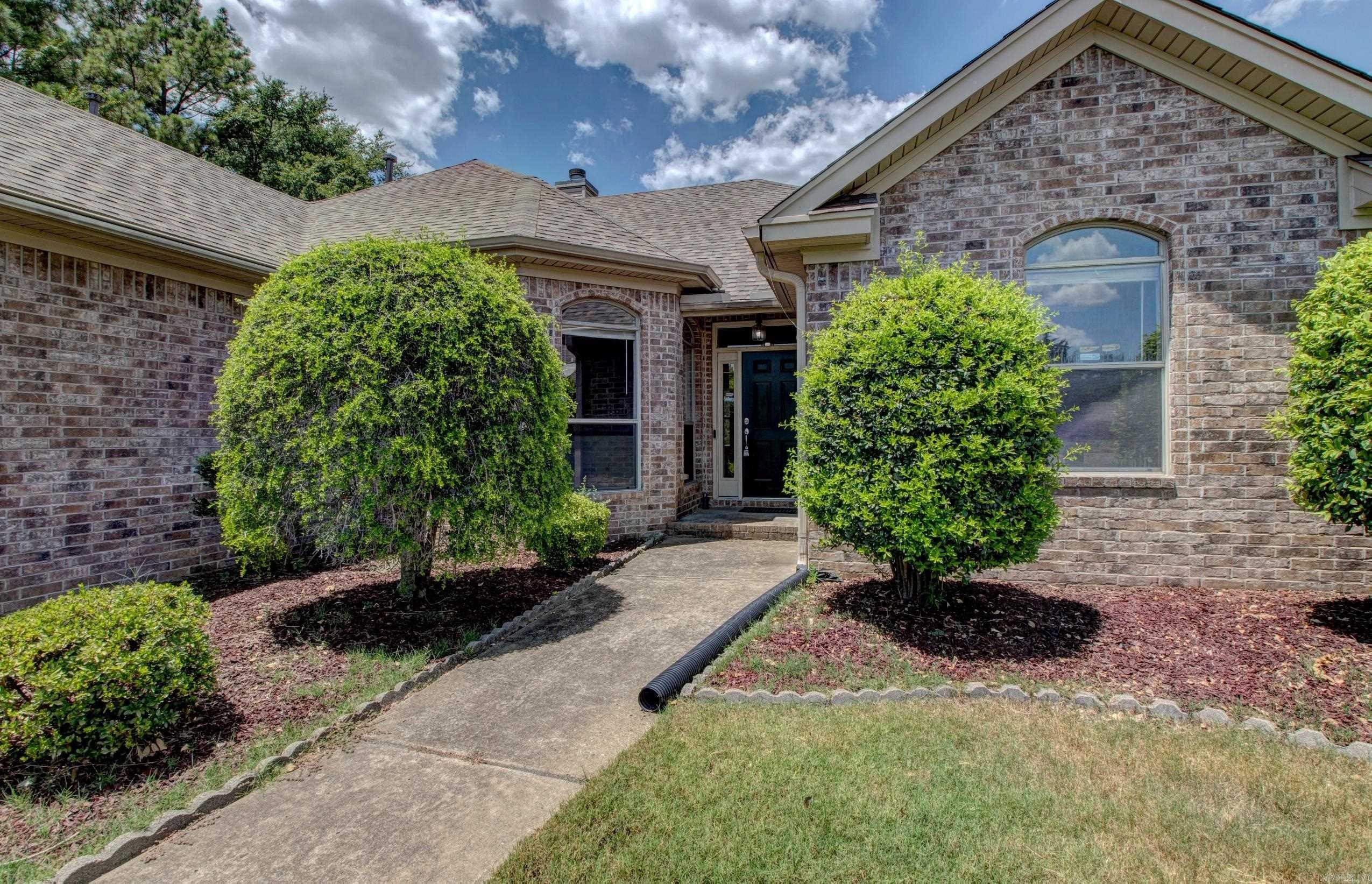 8 Brittany  Little Rock, AR