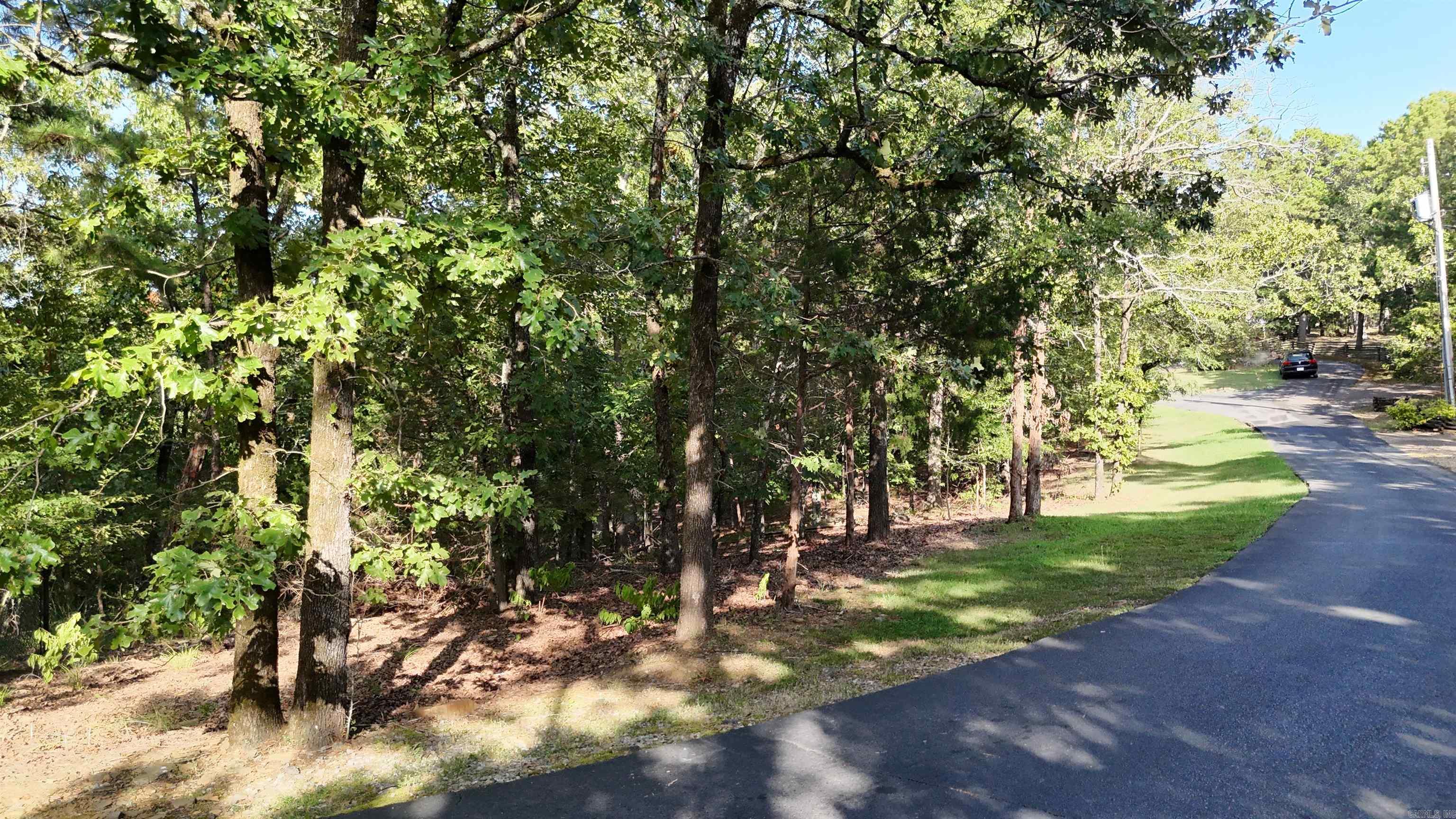 13 Woodsong  Roland, AR