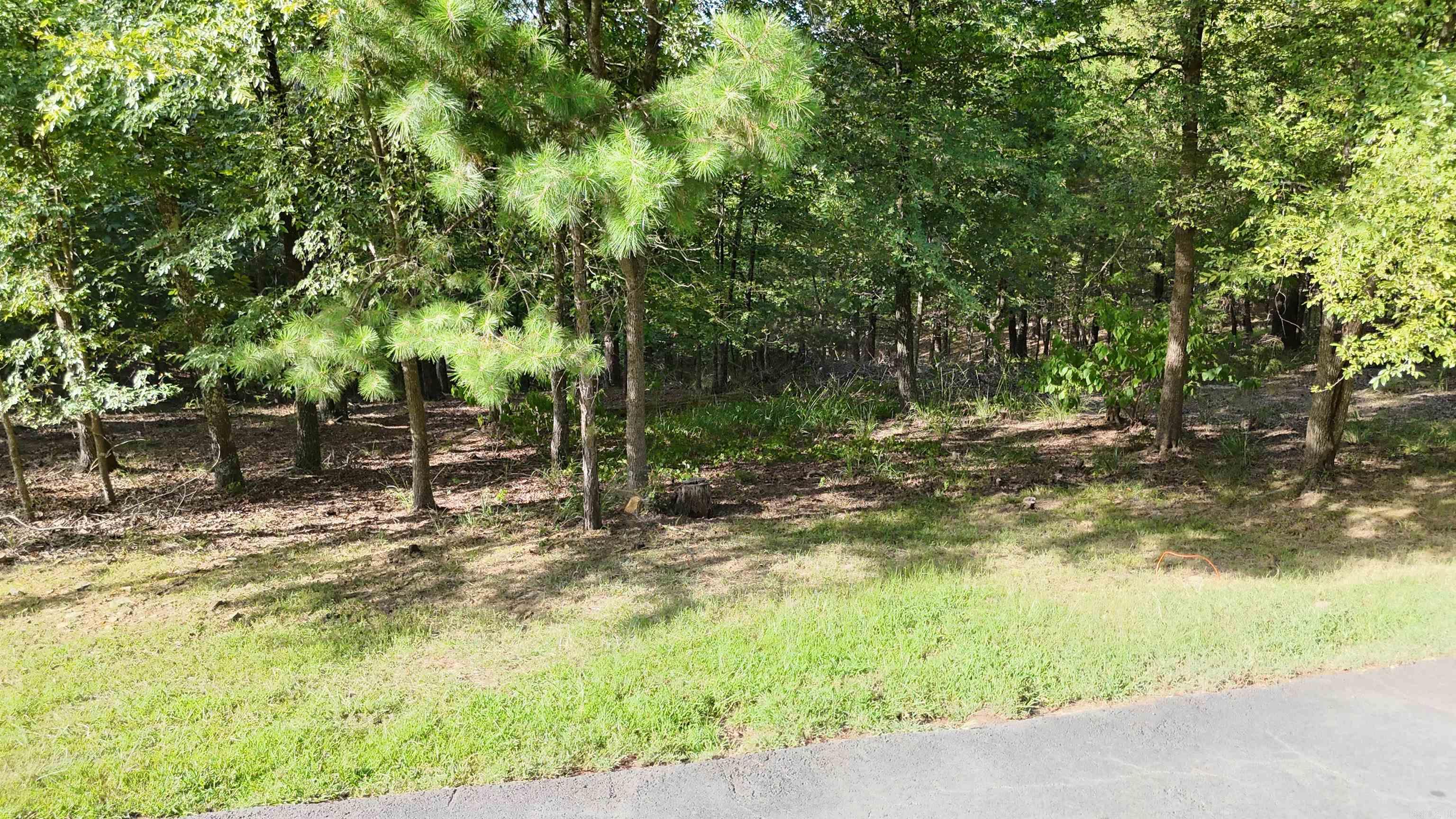 13 Woodsong  Roland, AR