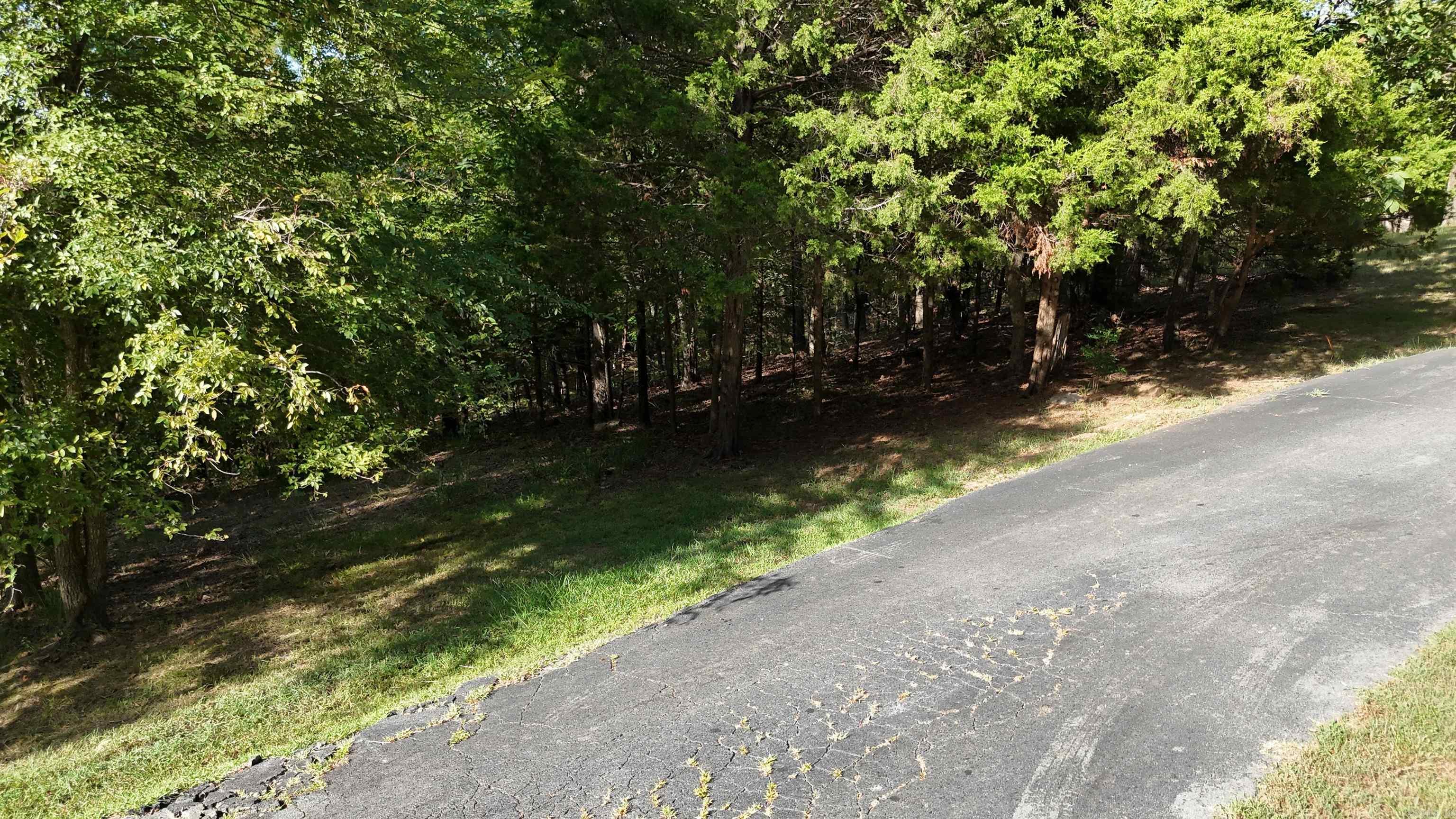 13 Woodsong  Roland, AR