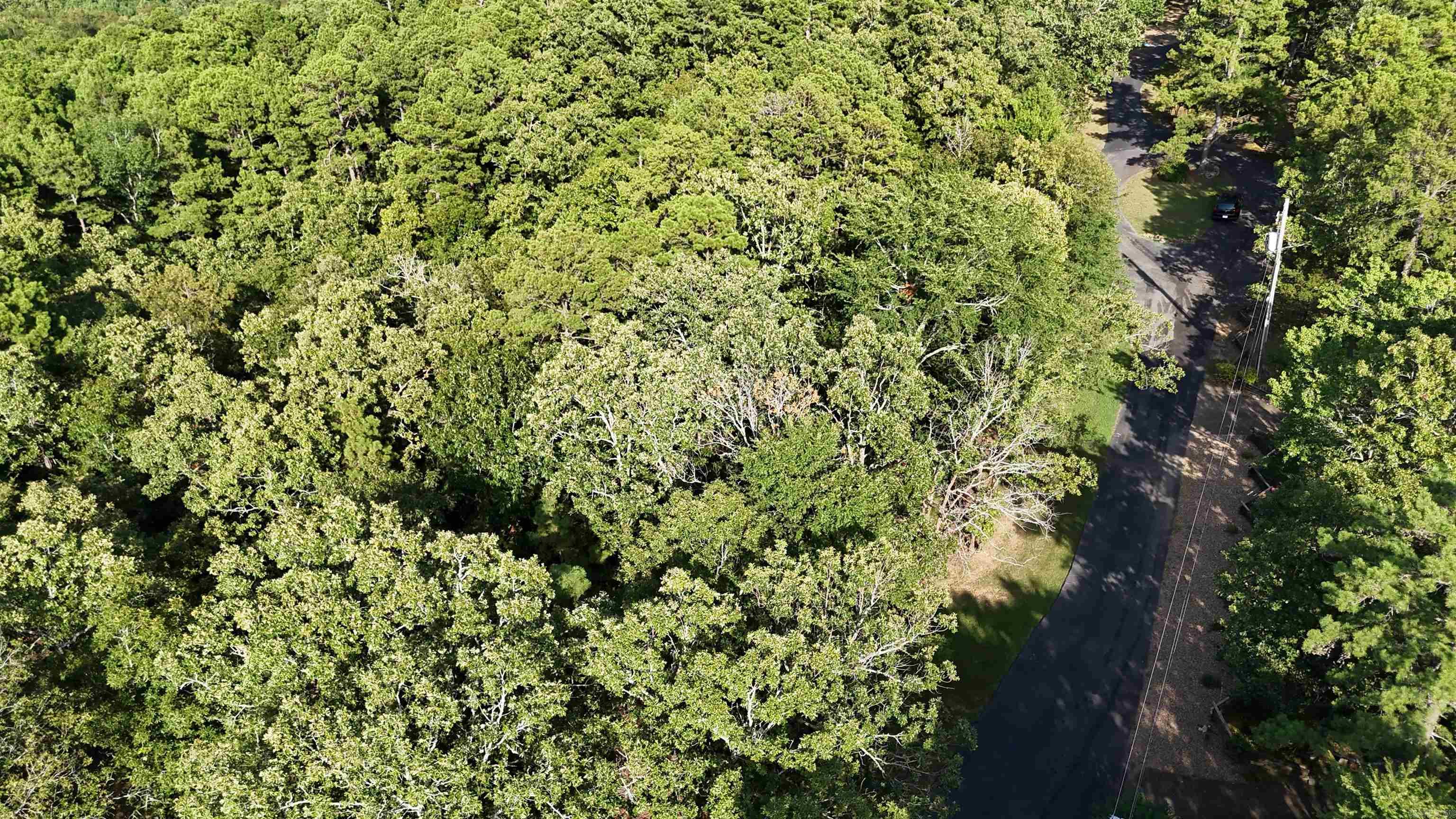 13 Woodsong  Roland, AR