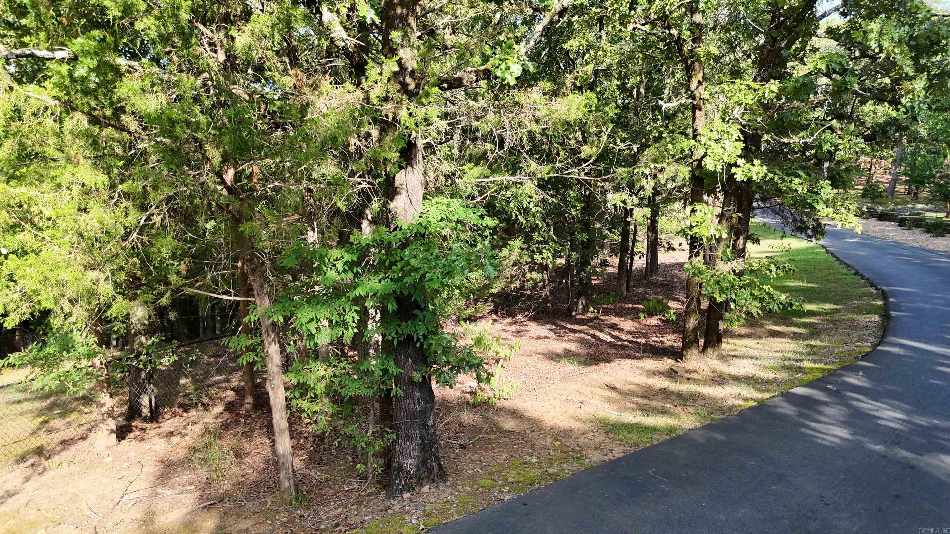 13 Woodsong  Roland, AR
