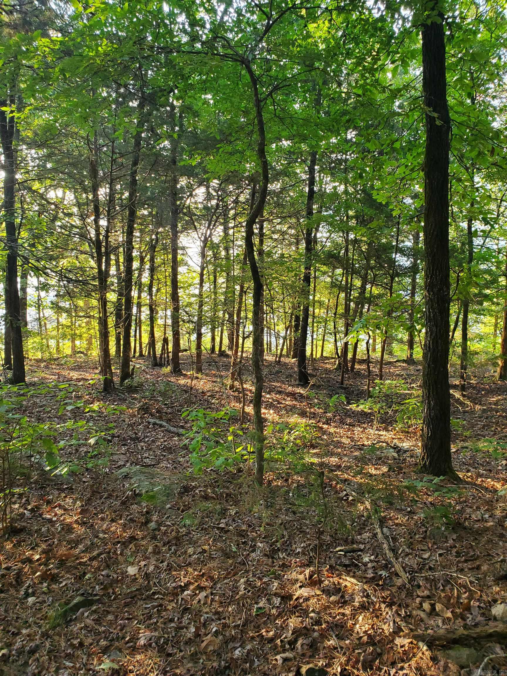  Wilshire  Fairfield Bay, AR