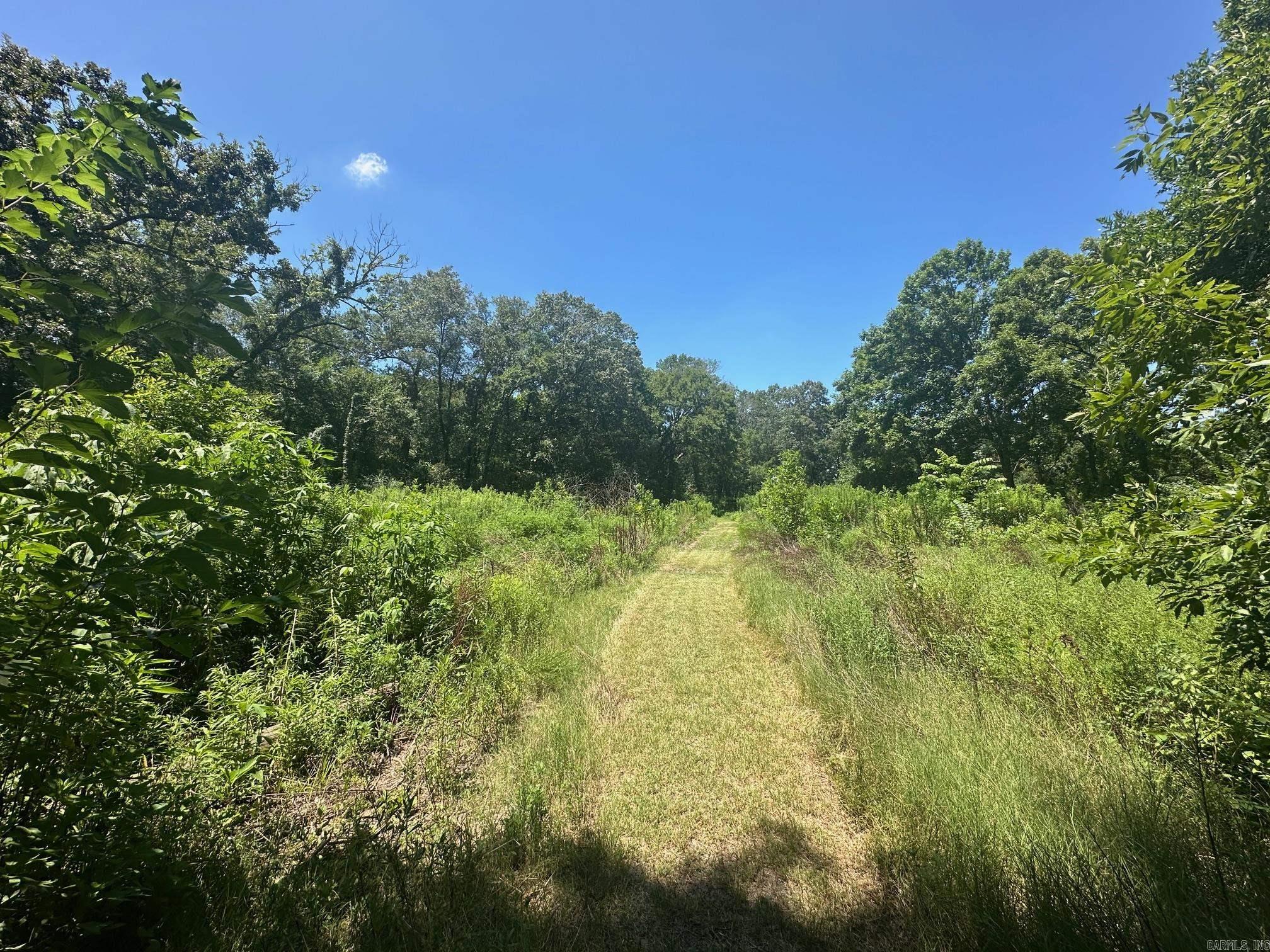 604 Lower Ridge  Conway, AR