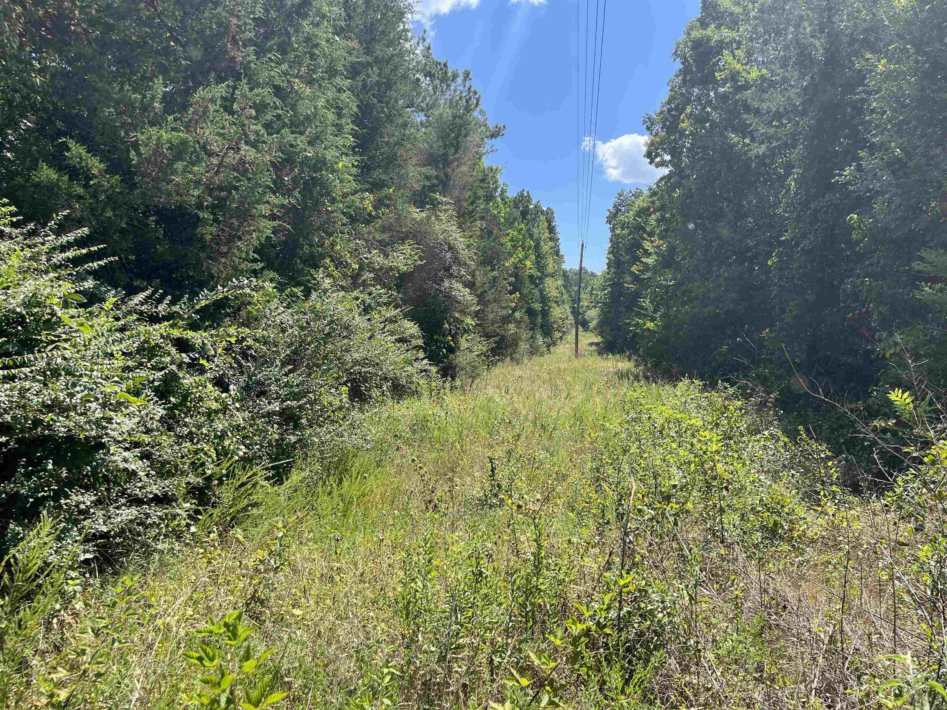 463 Hwy 5 S  Rose Bud, AR