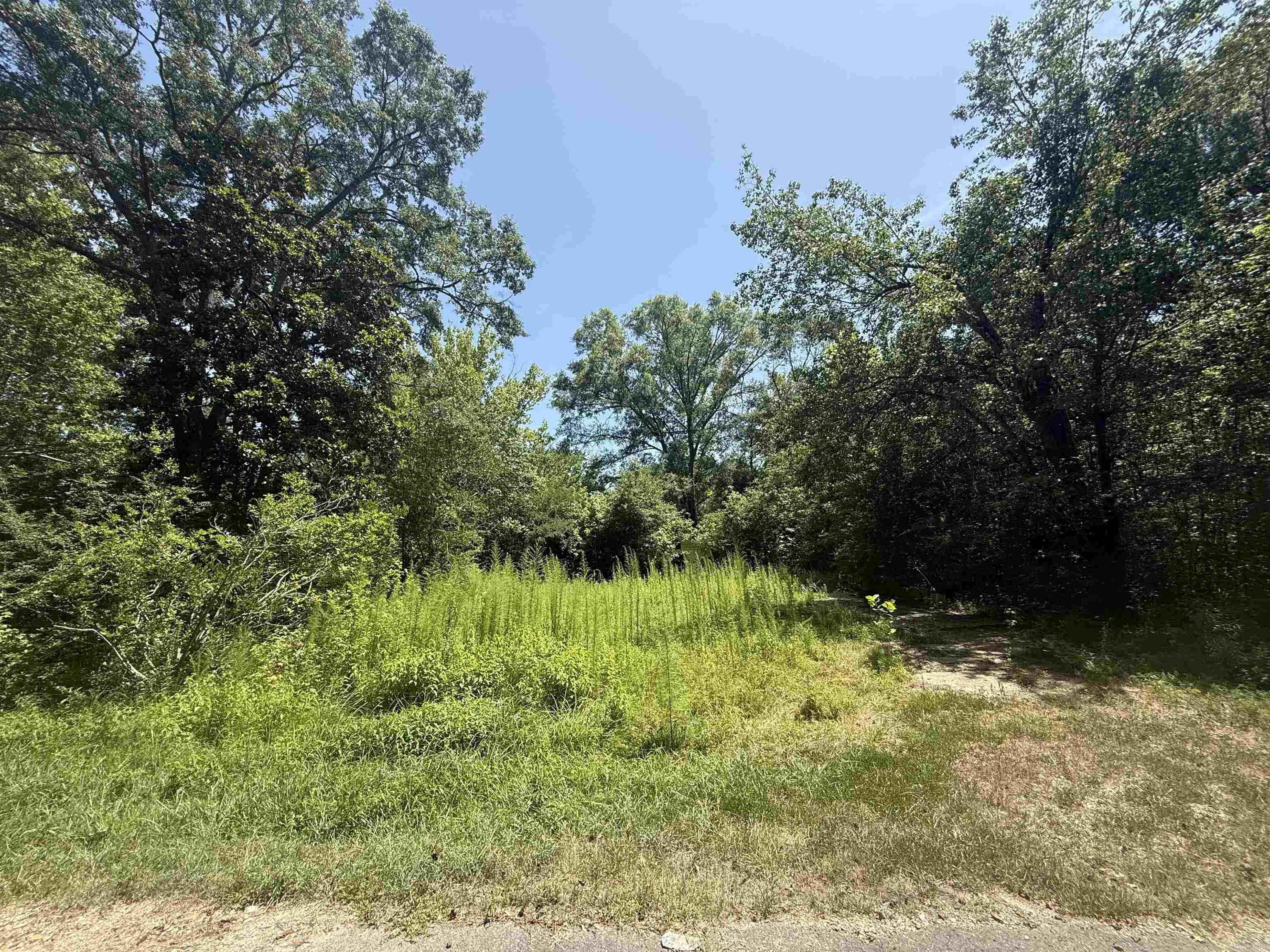 305 Lillian St 305 Lillian Malvern, AR