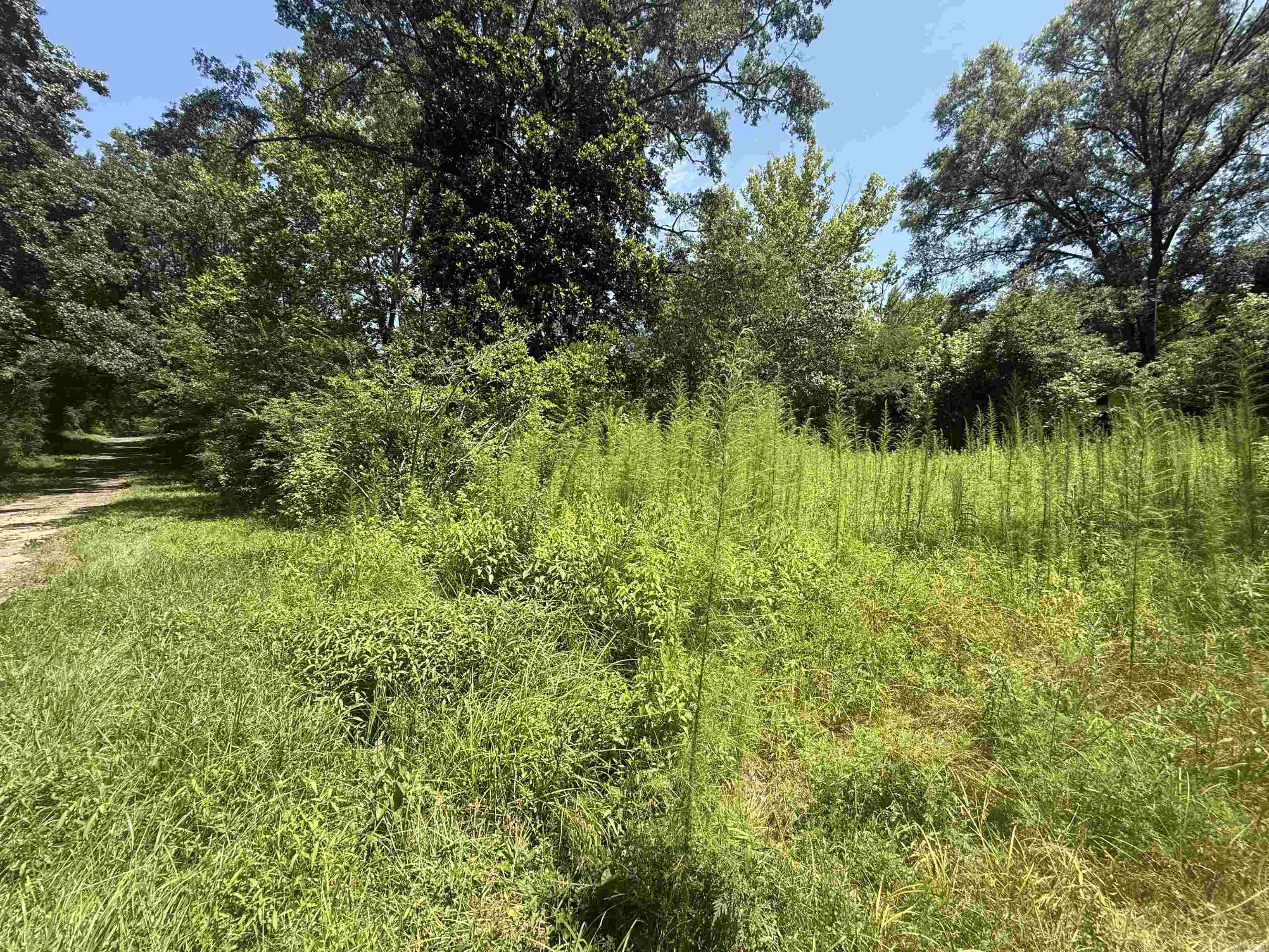 305 Lillian St 305 Lillian Malvern, AR