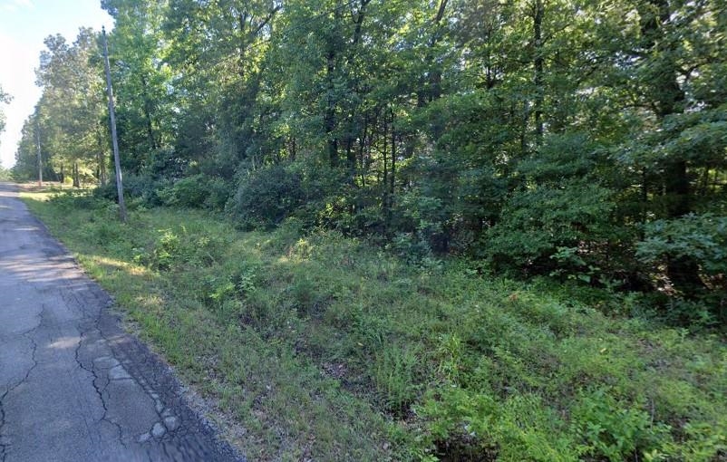 lot 15,16 Powhatan Dr  Cherokee Village, AR