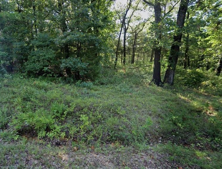 lot 15,16 Powhatan Dr  Cherokee Village, AR