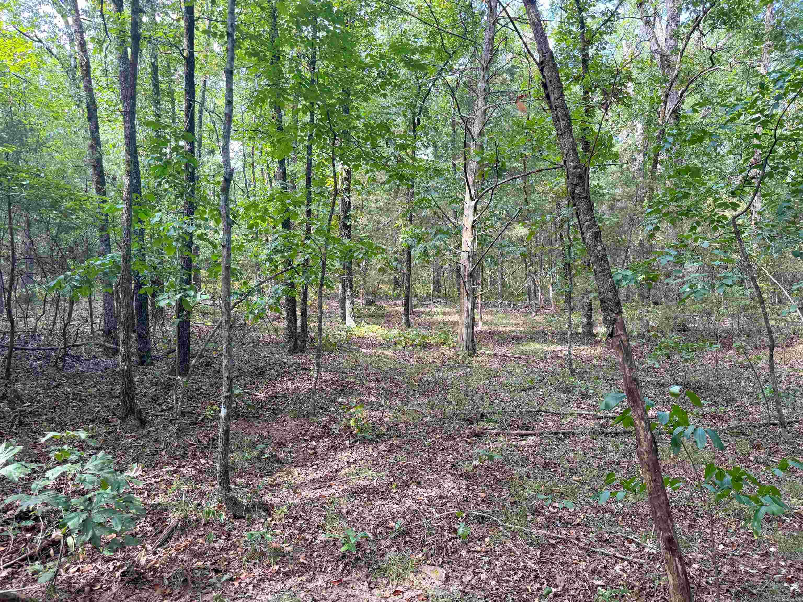 49 Landrum  Quitman, AR