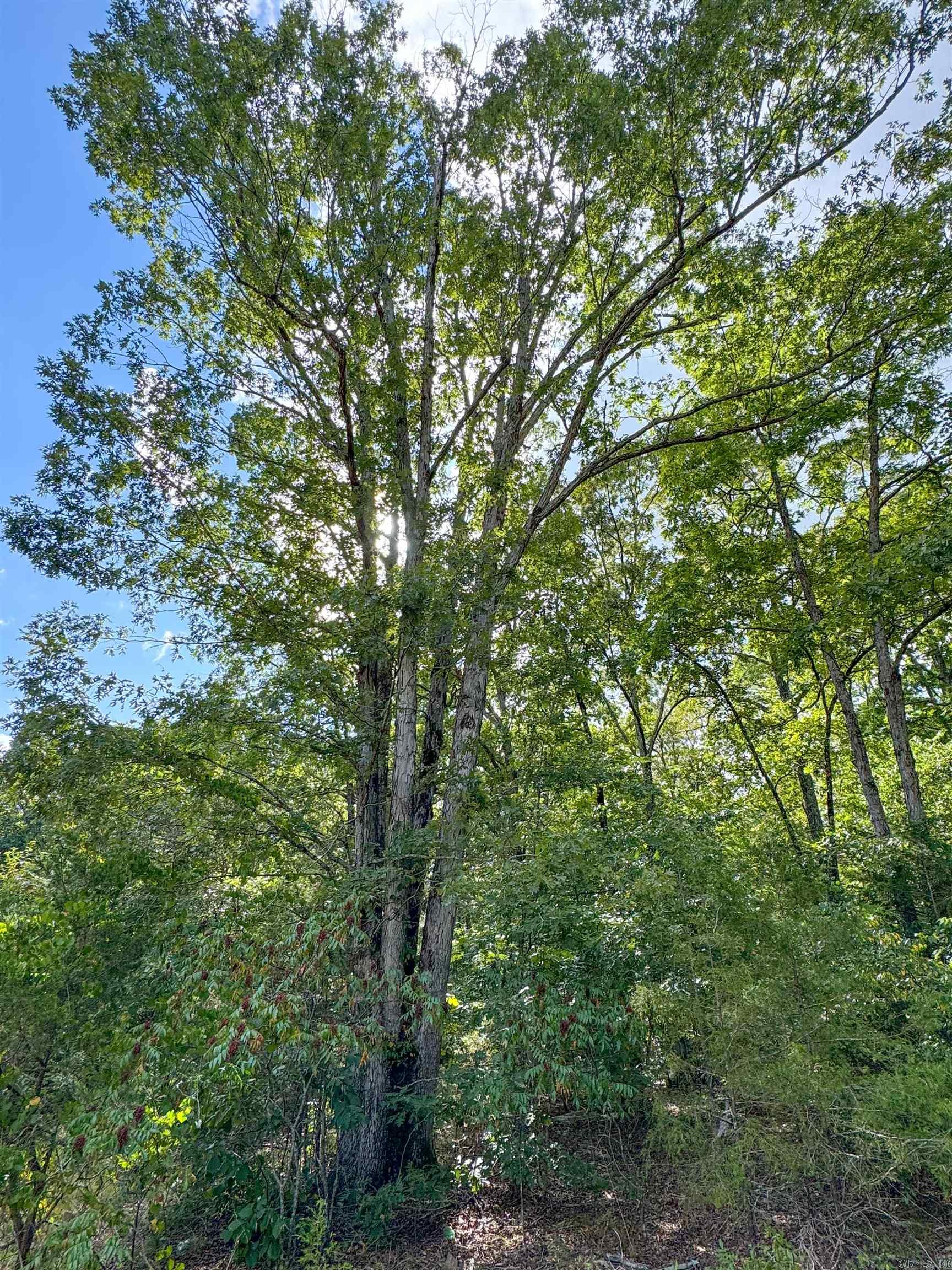 49 Landrum  Quitman, AR