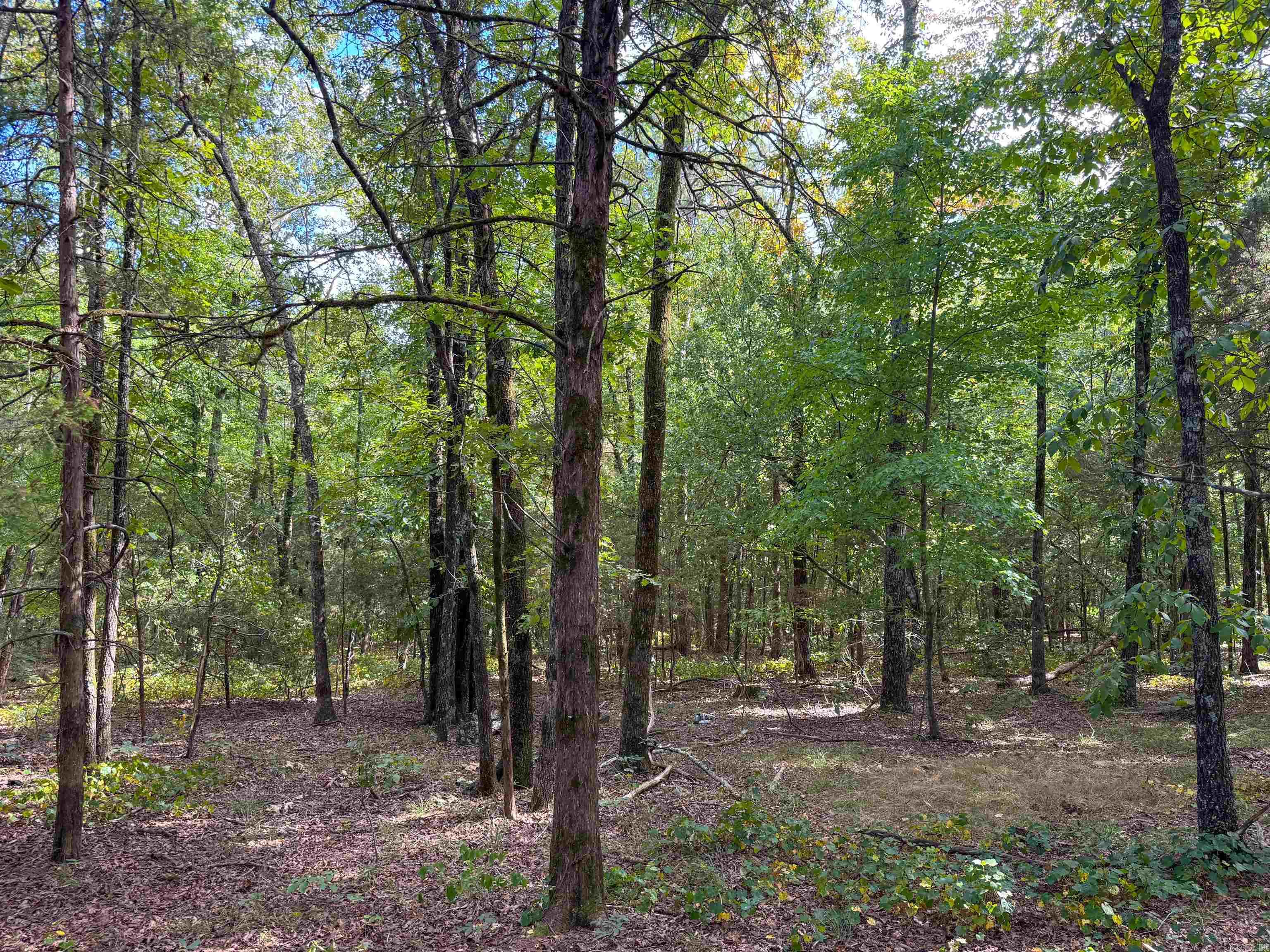 49 Landrum  Quitman, AR