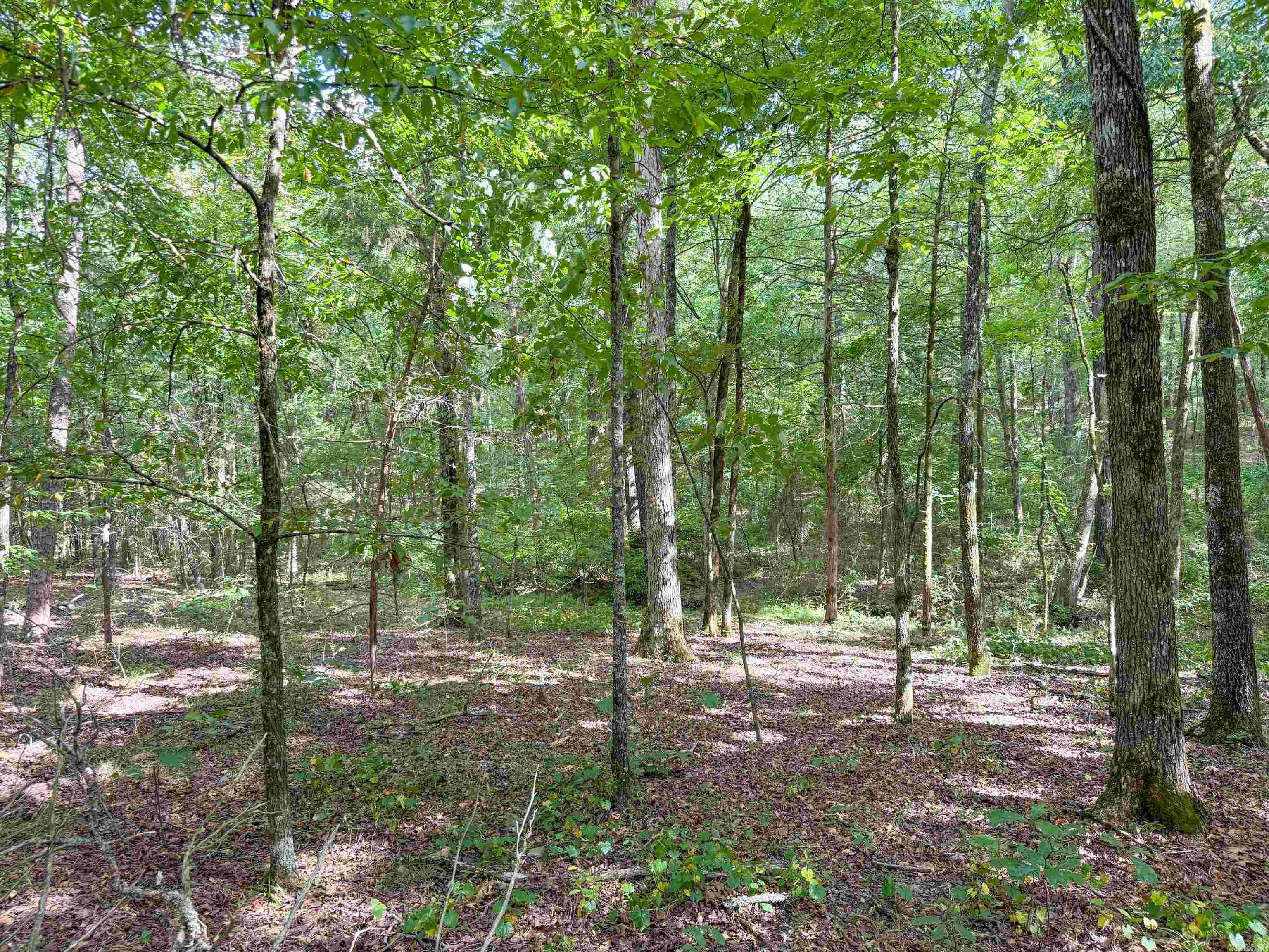 49 Landrum  Quitman, AR