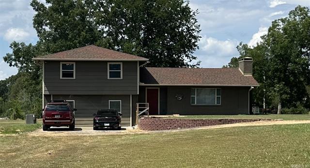 26  Dragonfly  Austin, AR