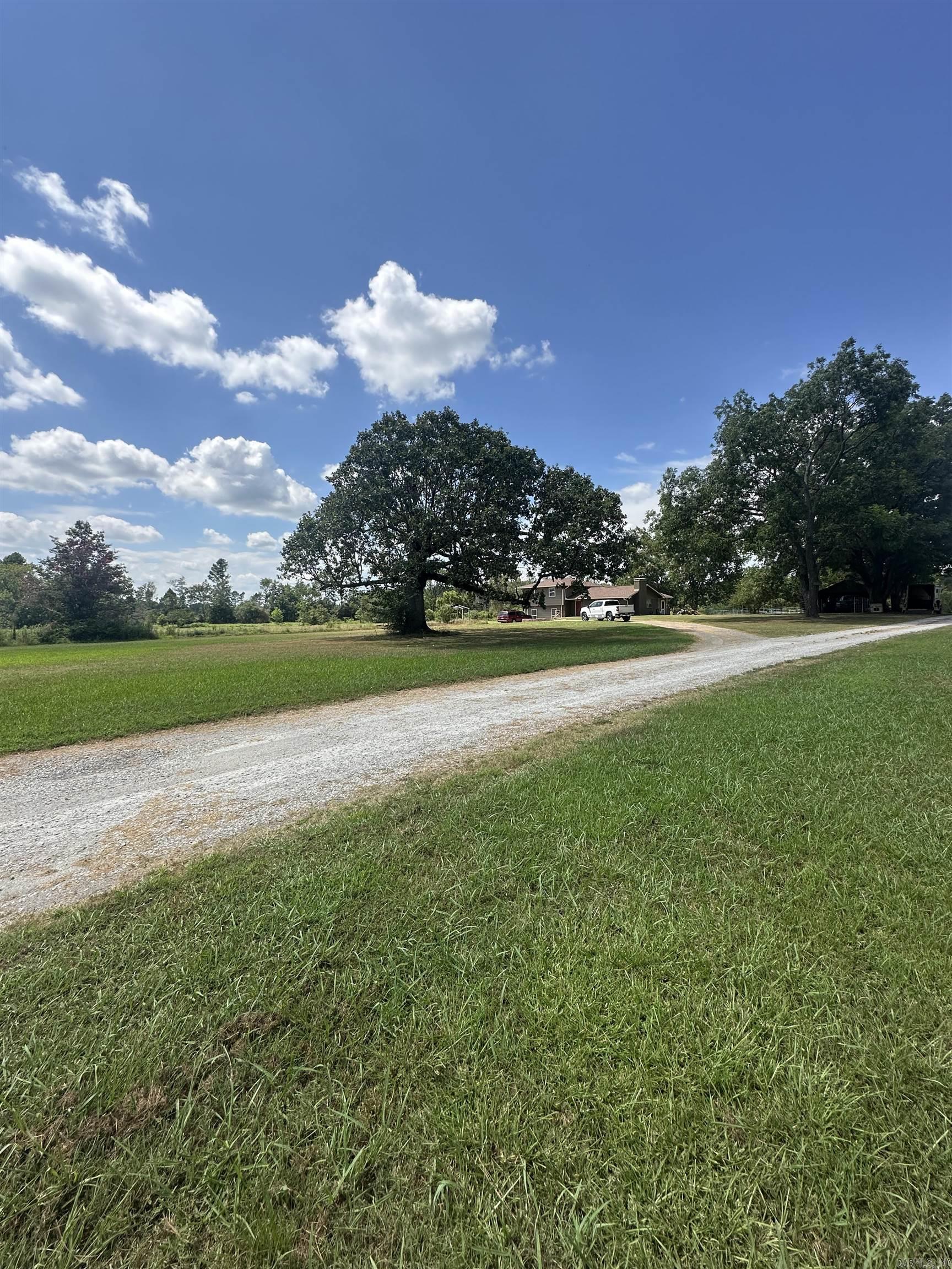 26 Dragonfly  Austin, AR