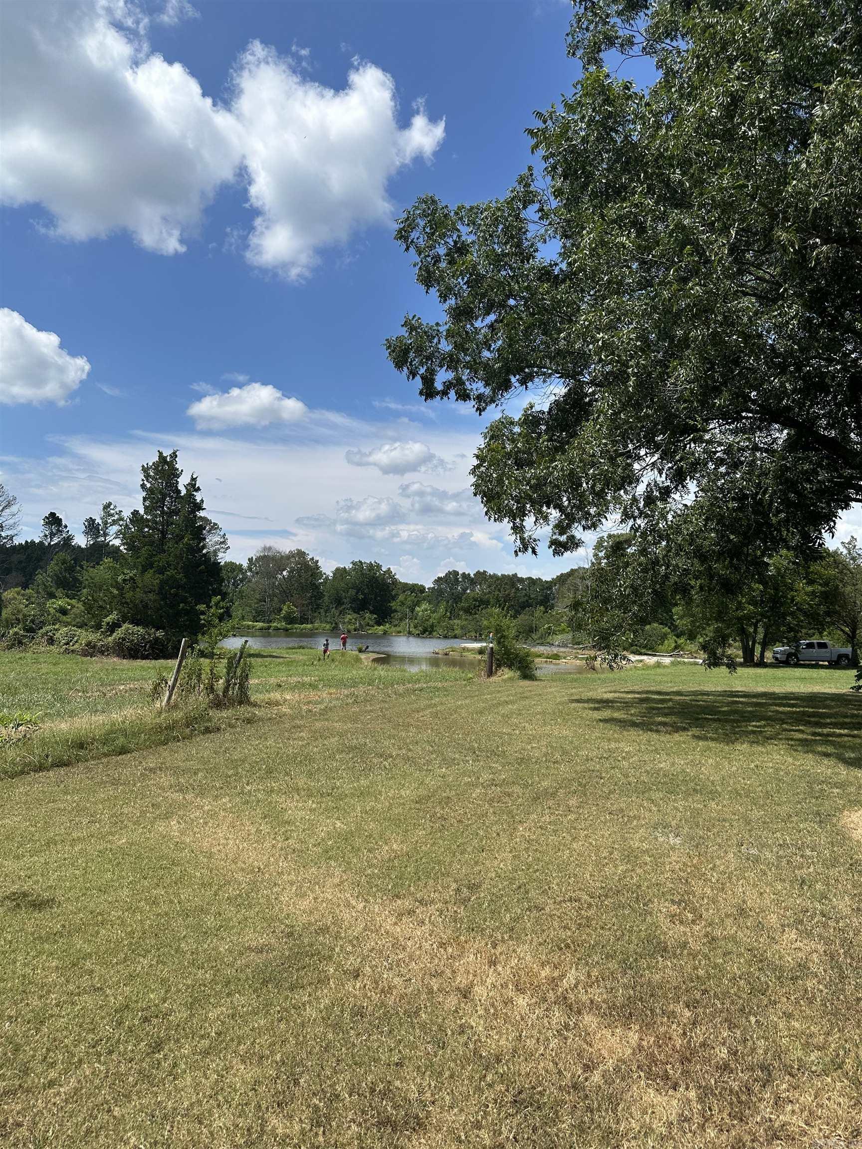 26 Dragonfly  Austin, AR