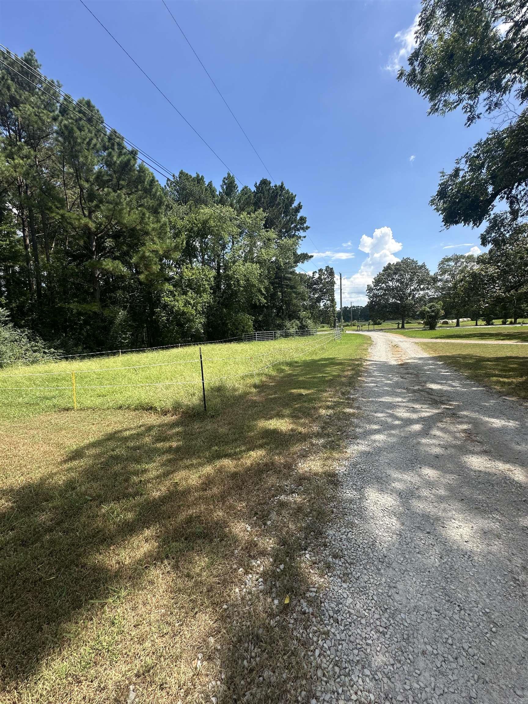 26 Dragonfly  Austin, AR