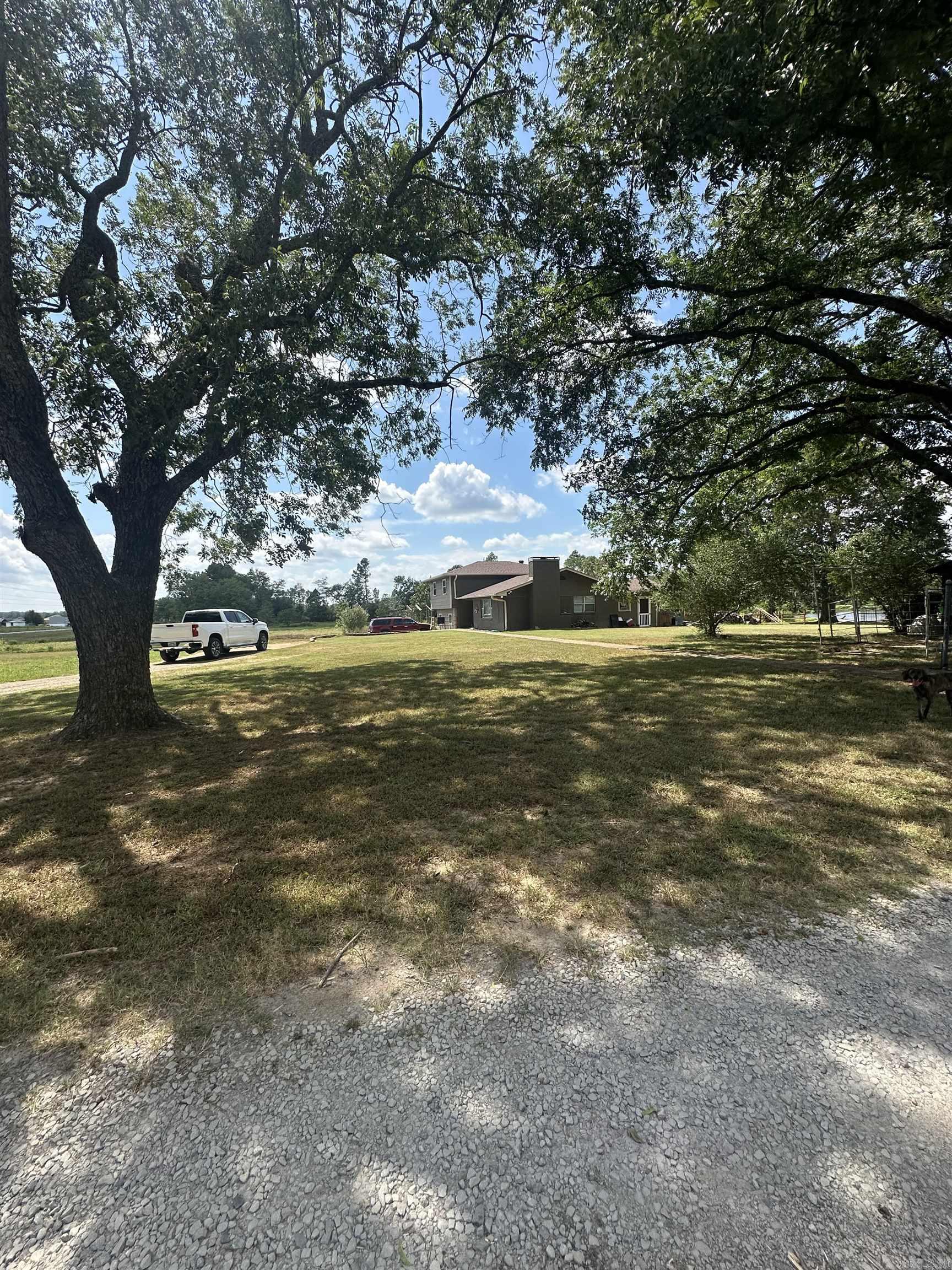 26 Dragonfly  Austin, AR