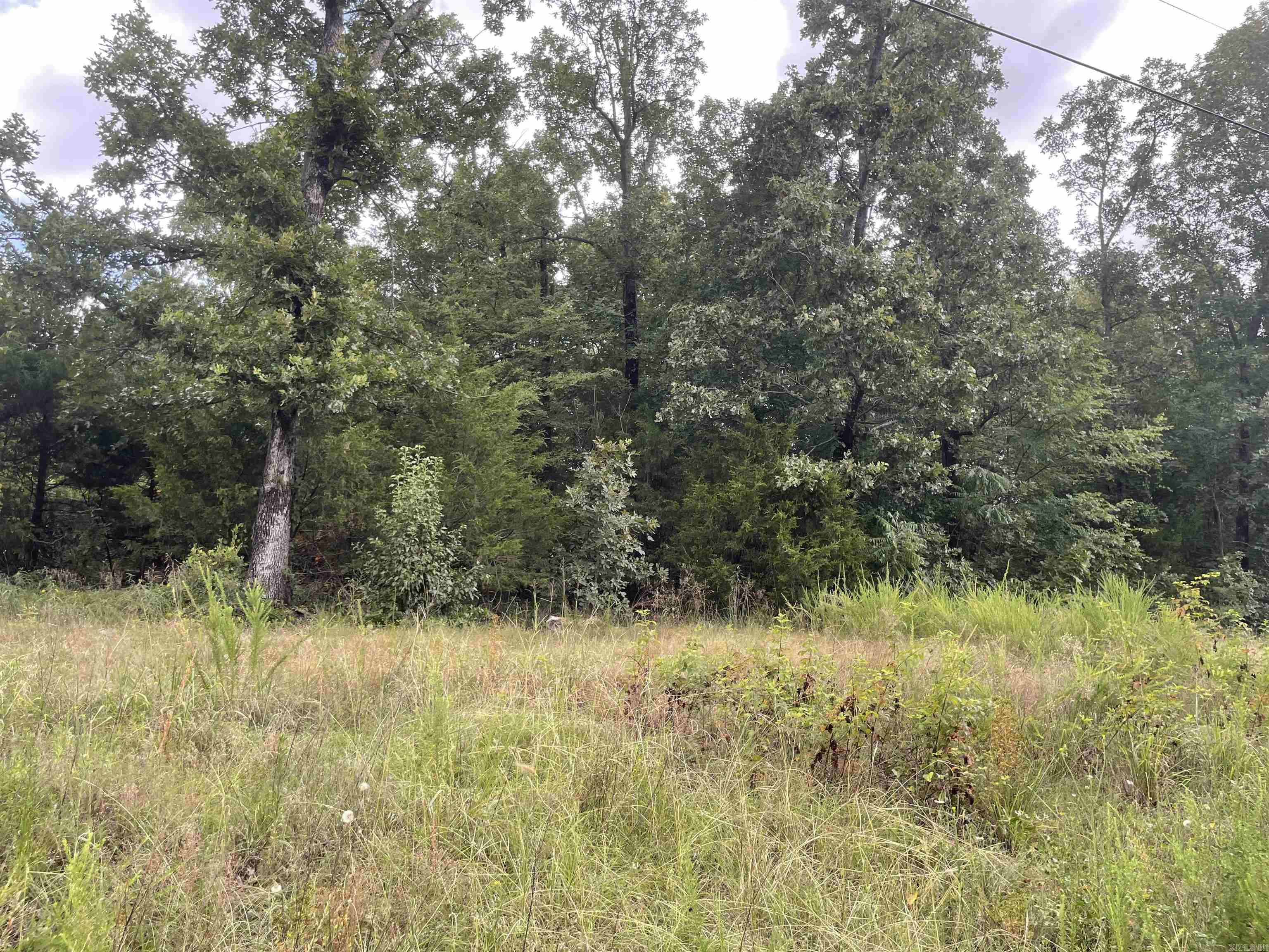 Lot 073 Lakeridge Estates  Searcy, AR