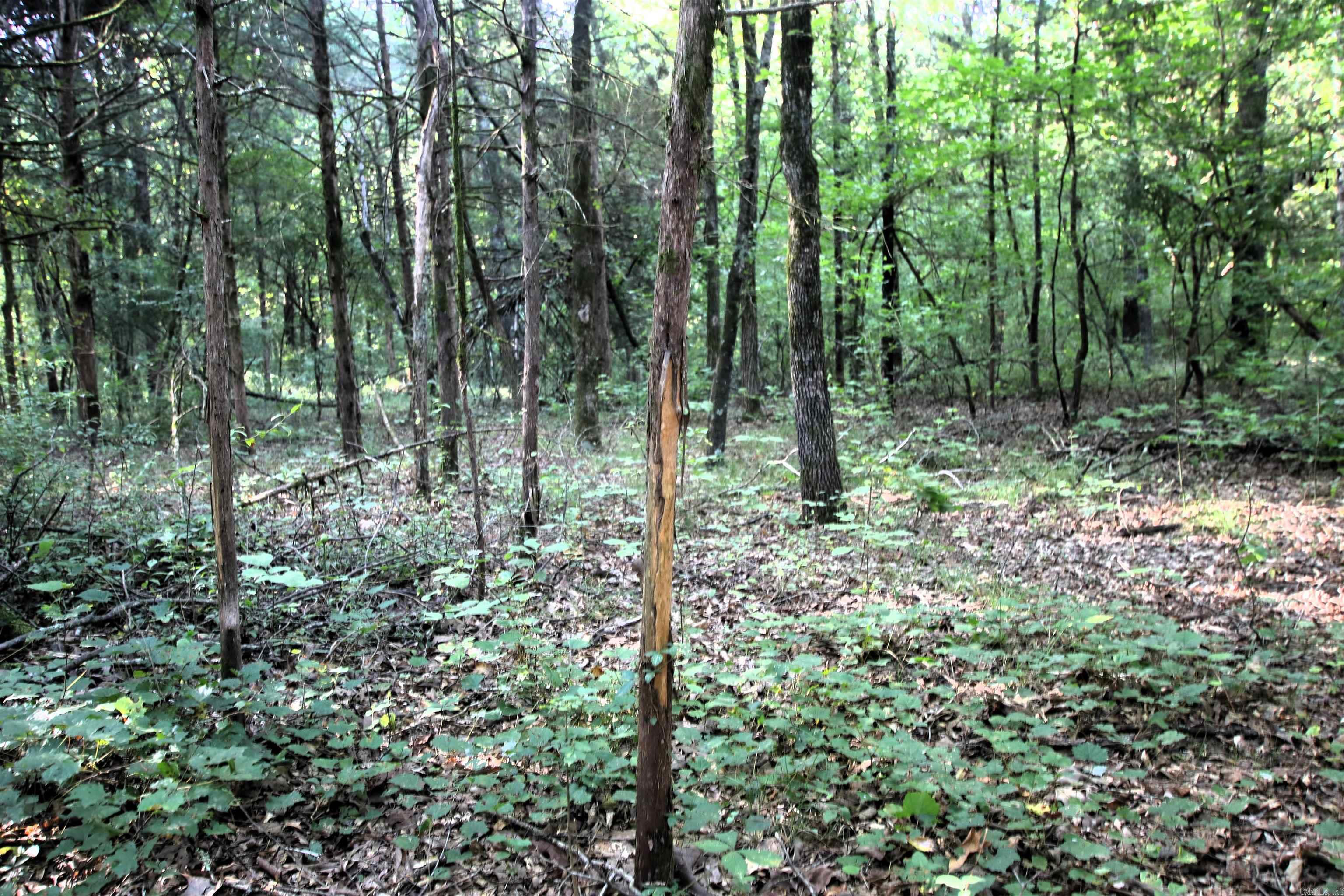 000 Caney Valley  Plumerville, AR