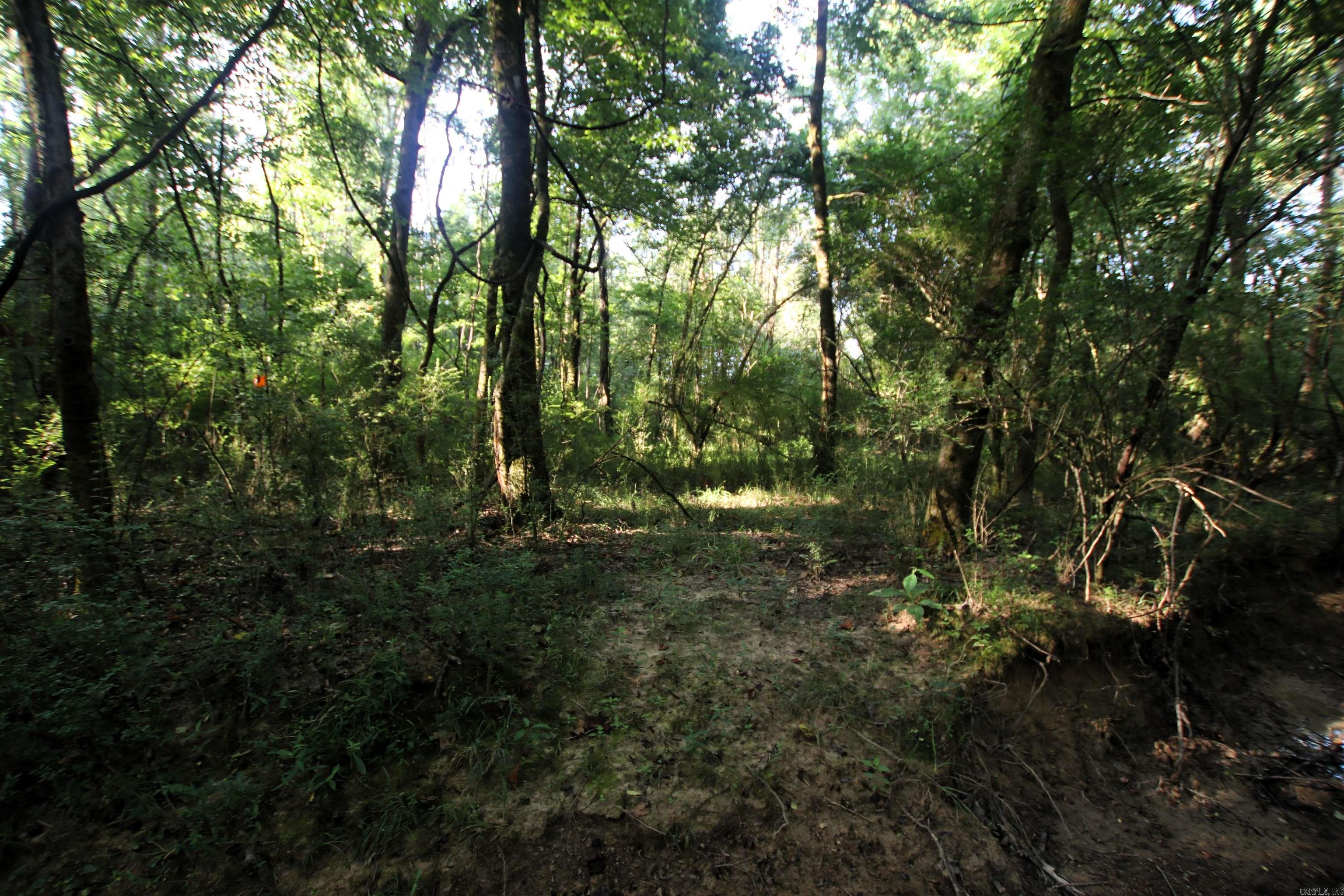 000 Caney Valley  Plumerville, AR