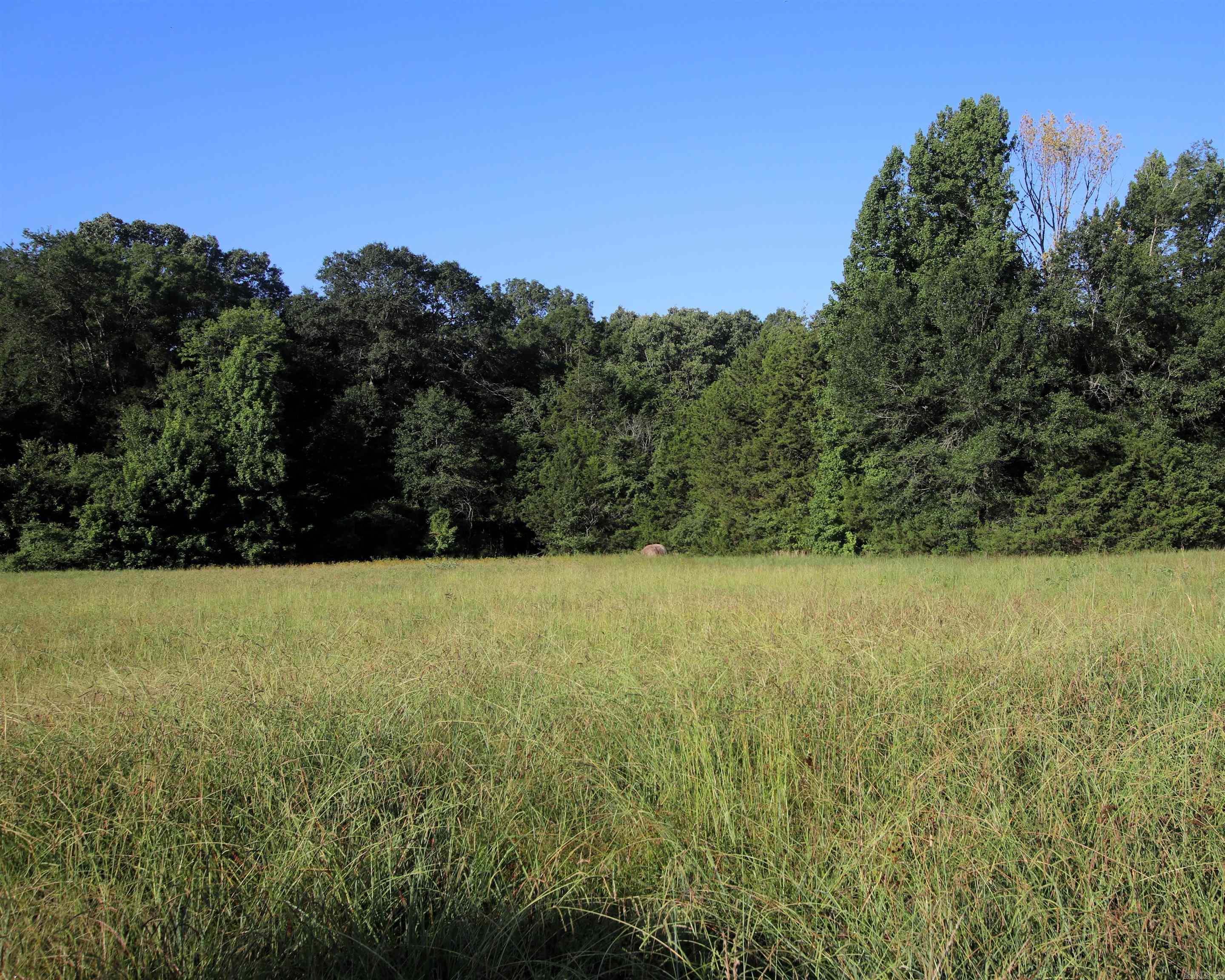 000 Caney Valley  Plumerville, AR