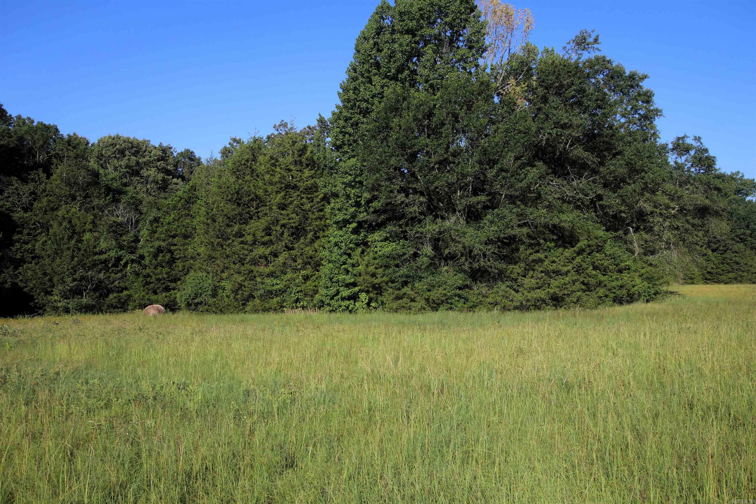 000 Caney Valley  Plumerville, AR