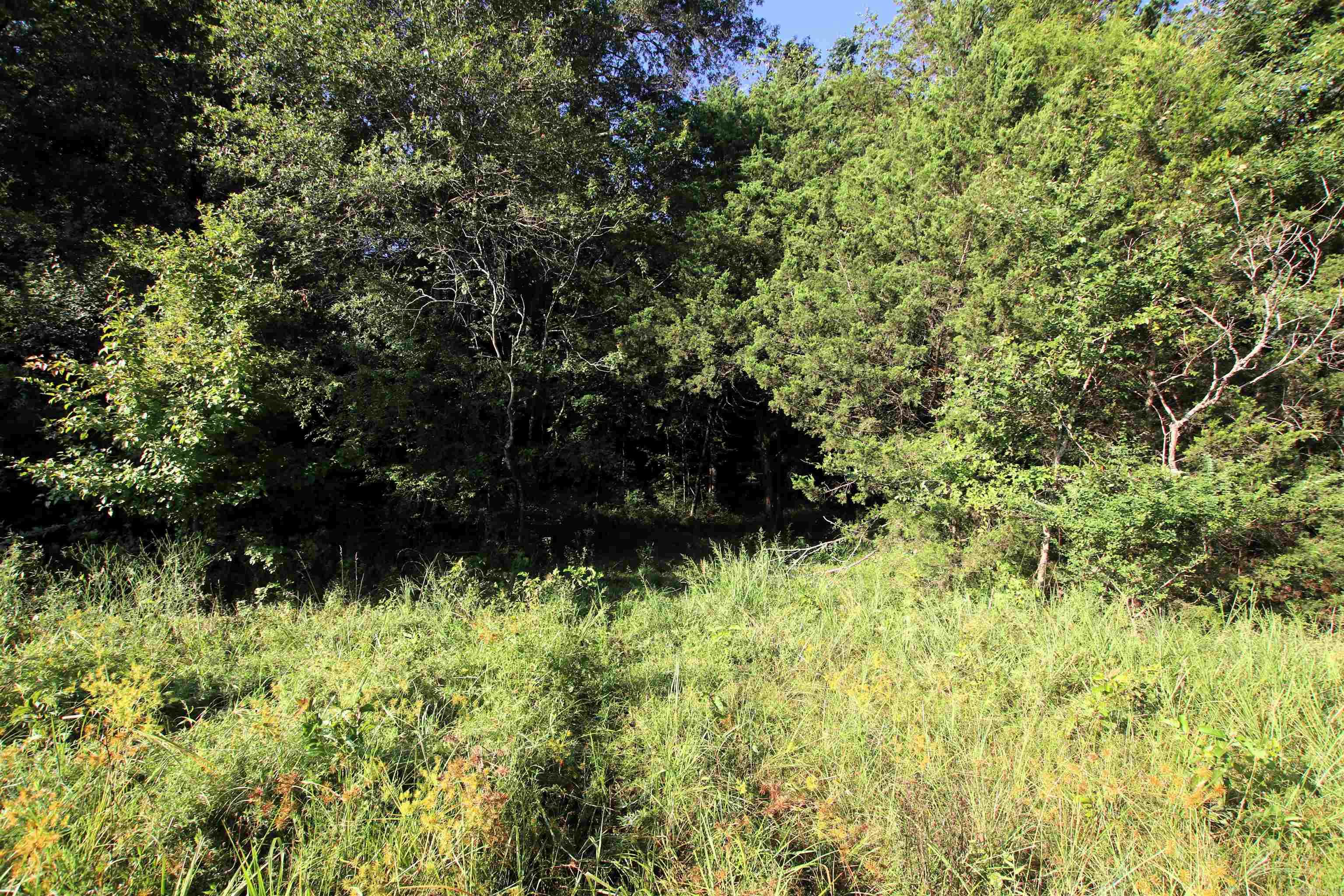 000 Caney Valley  Plumerville, AR