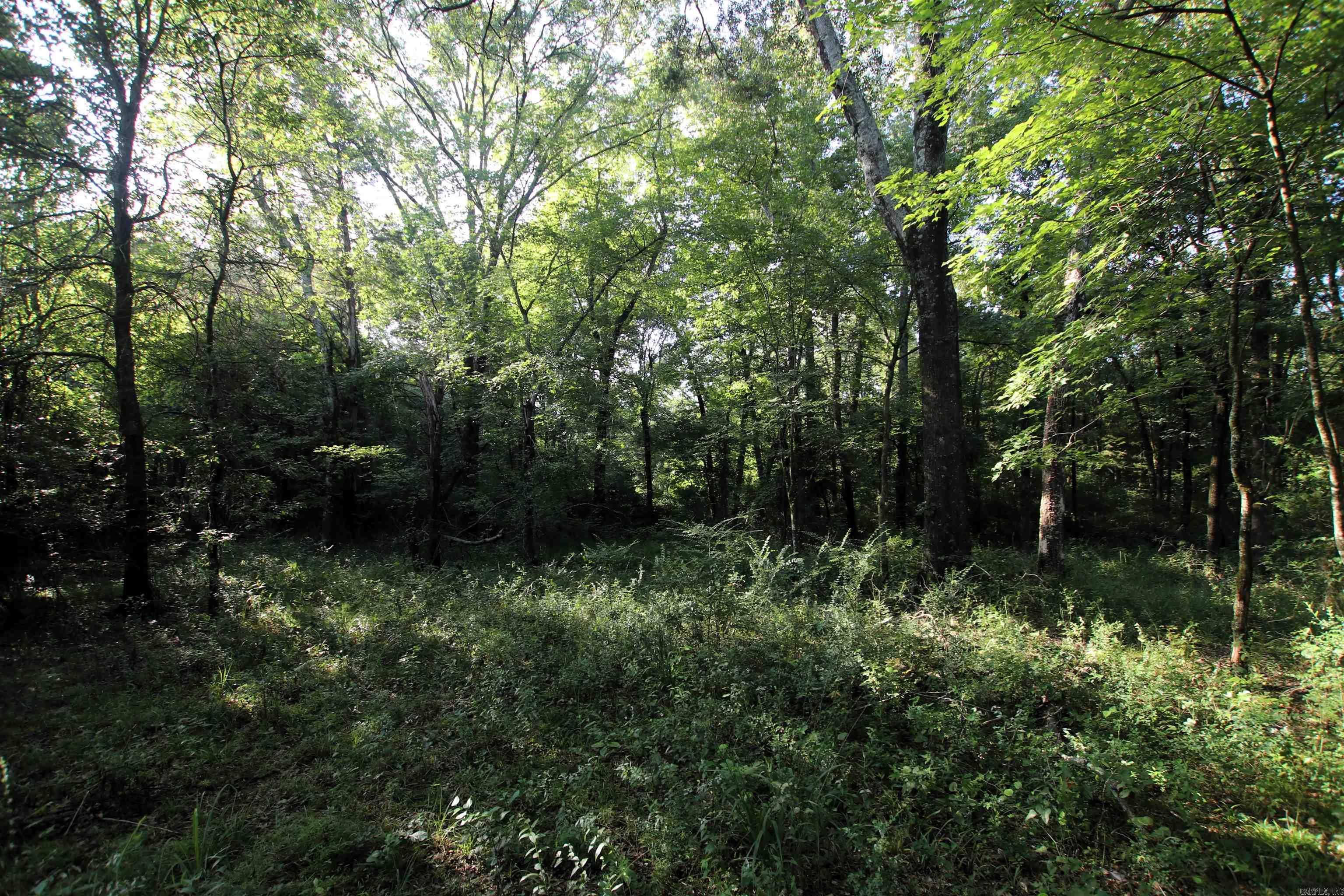 000 Caney Valley  Plumerville, AR