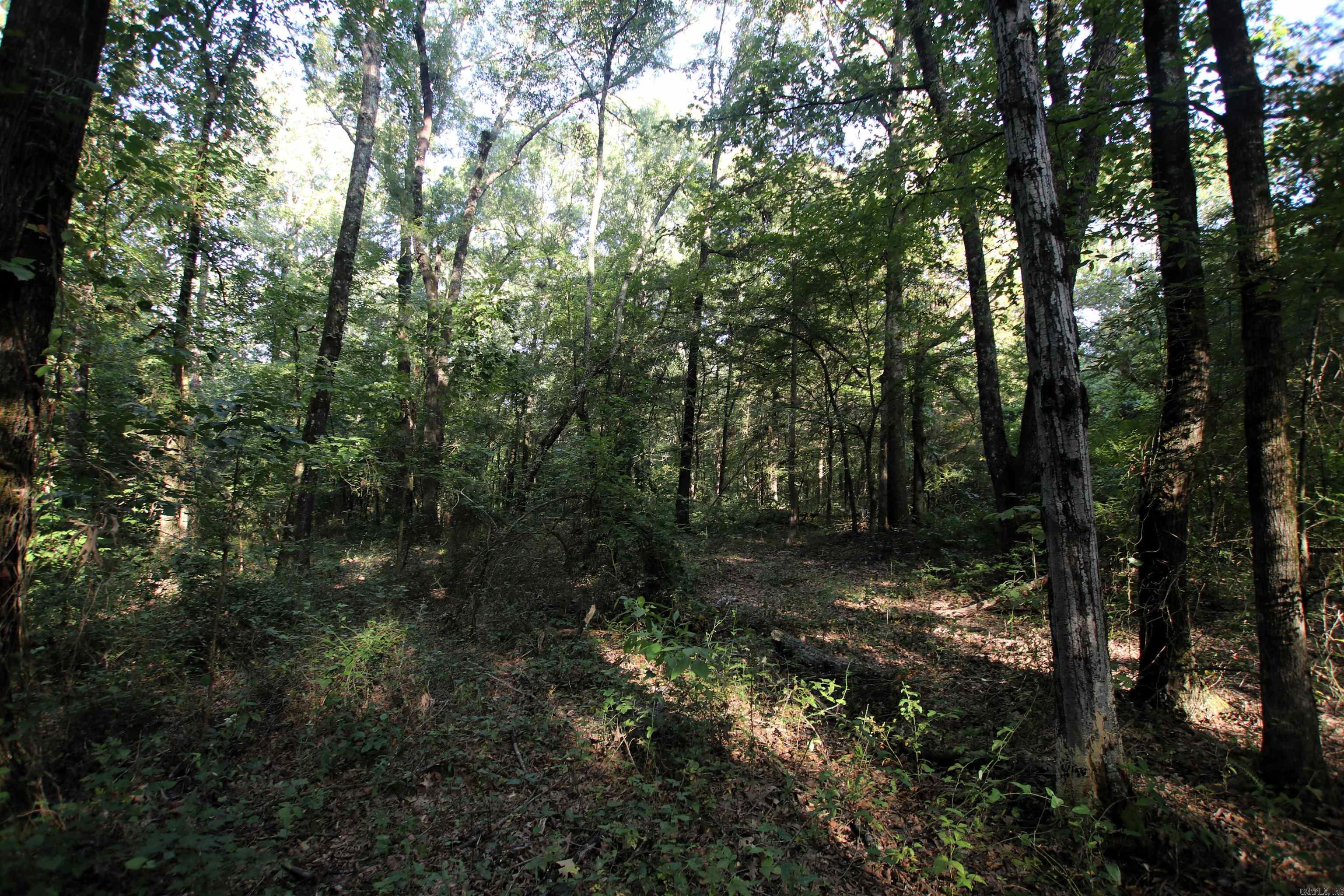 000 Caney Valley  Plumerville, AR