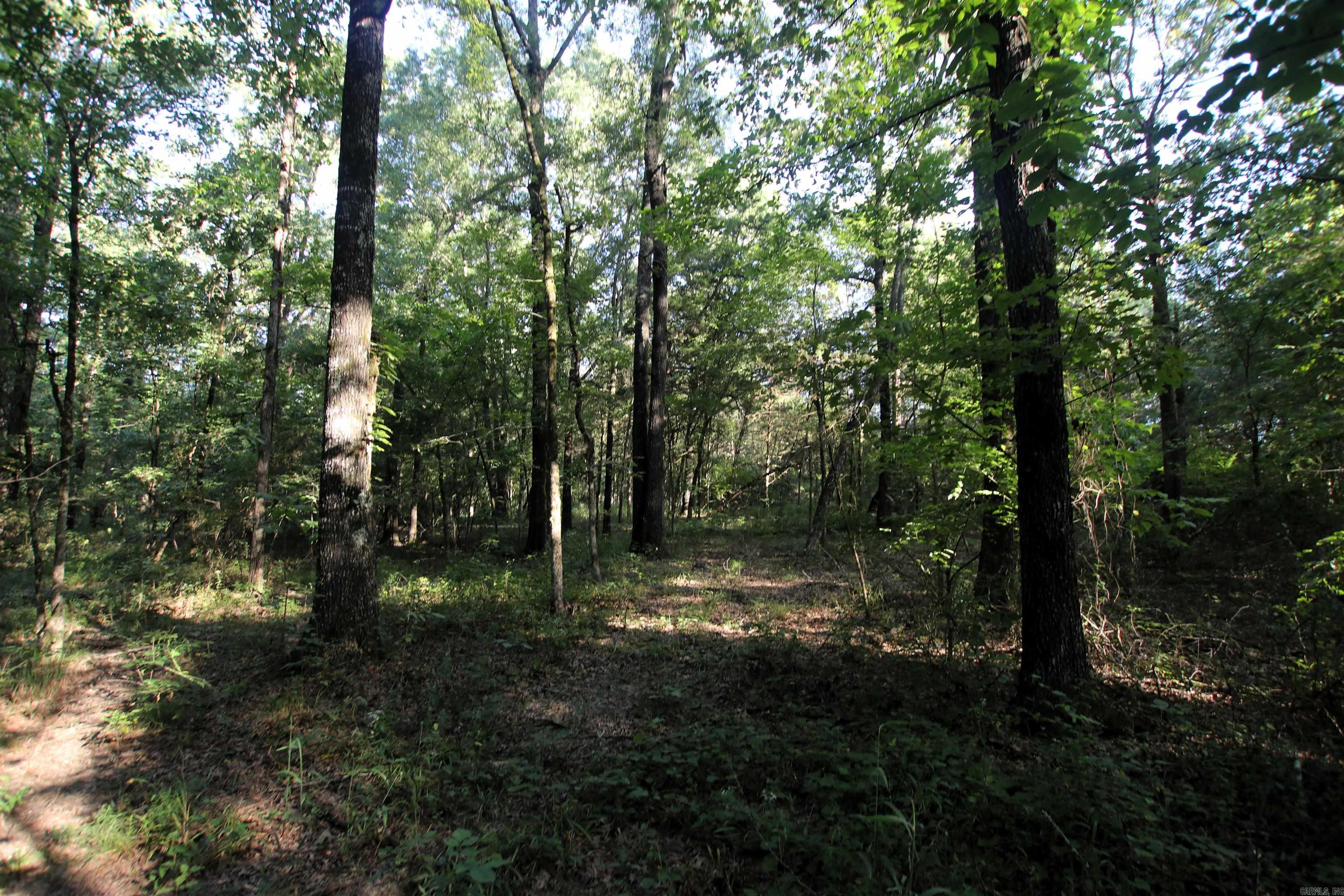 000 Caney Valley  Plumerville, AR