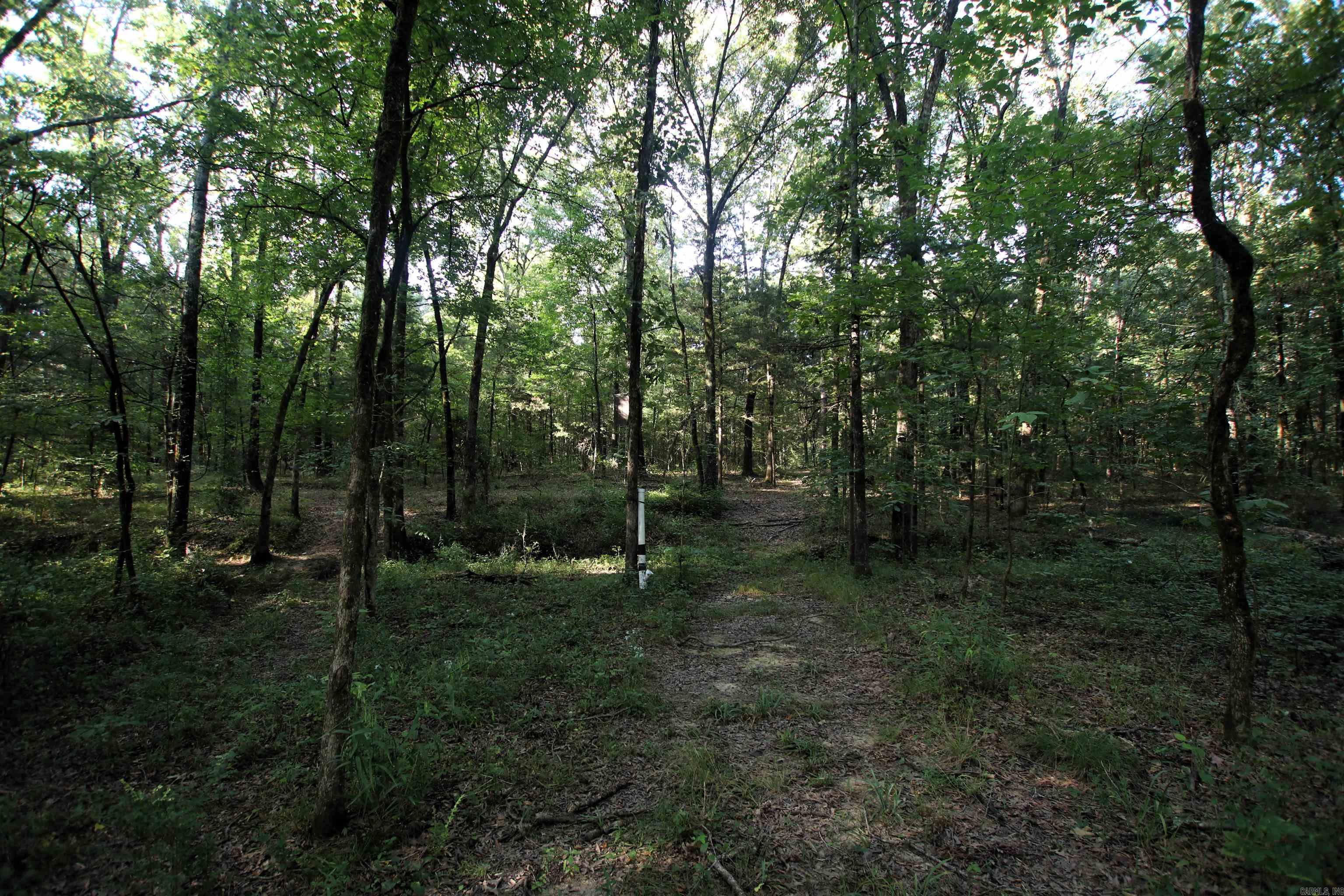 000 Caney Valley  Plumerville, AR