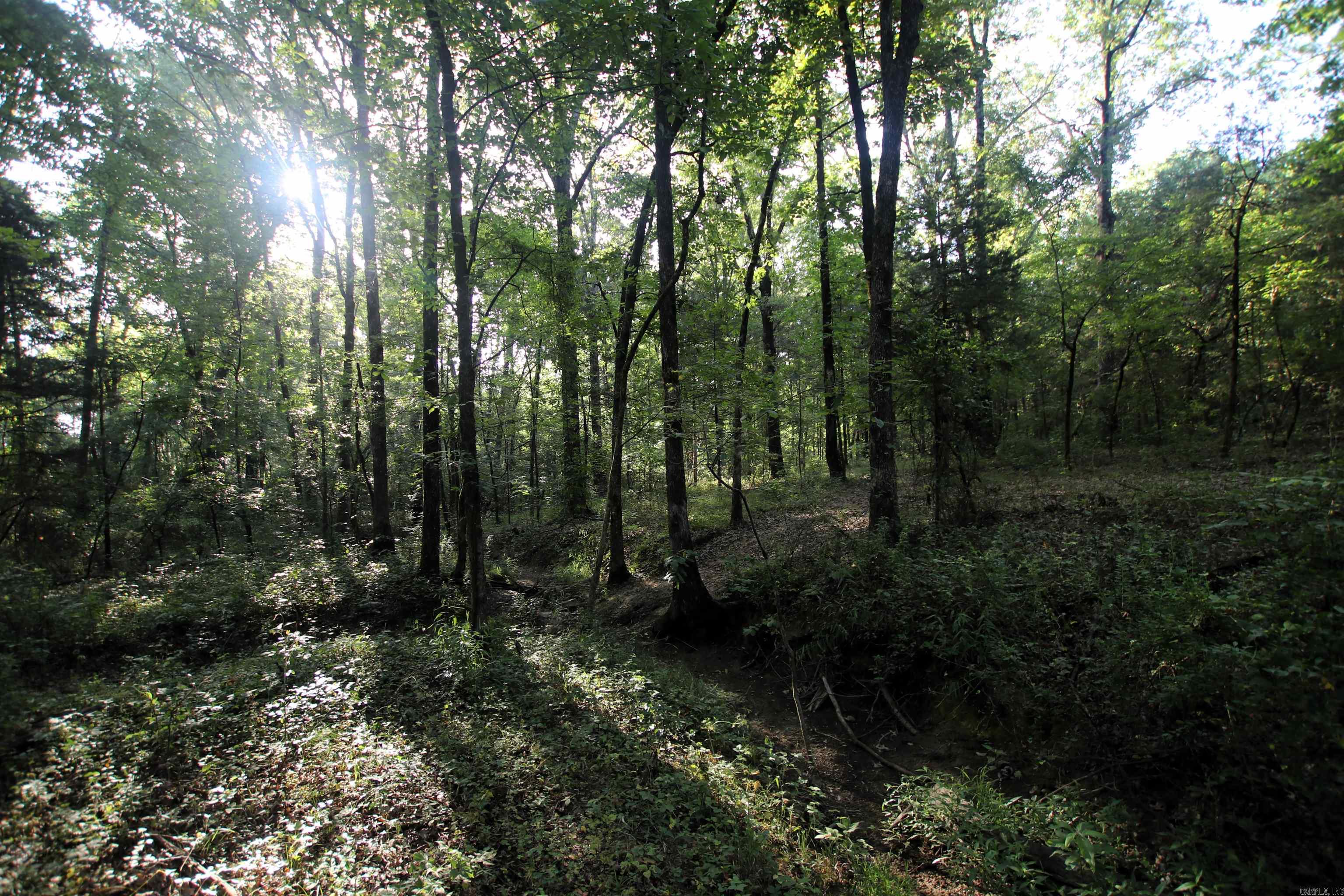 000 Caney Valley  Plumerville, AR