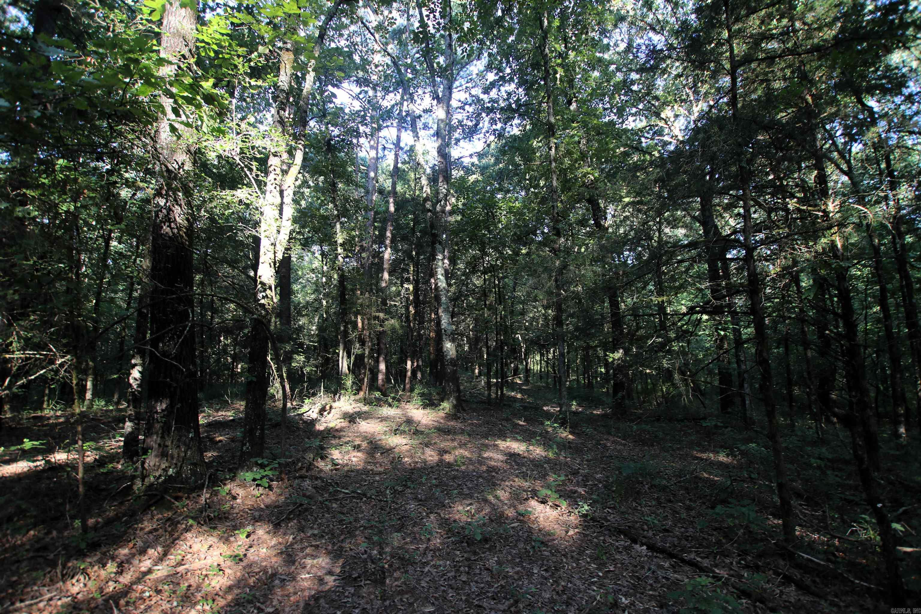 000 Caney Valley  Plumerville, AR