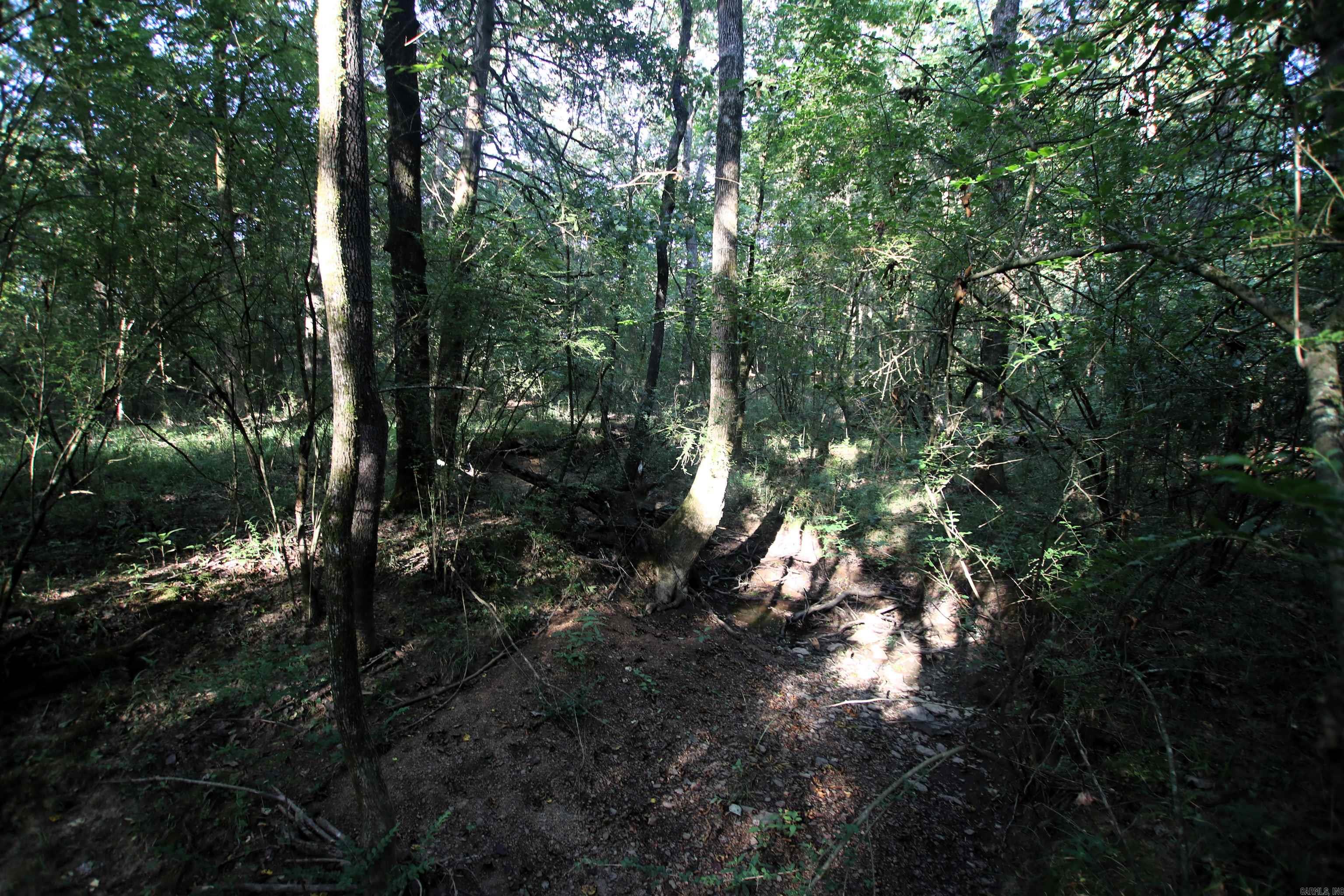 000 Caney Valley  Plumerville, AR