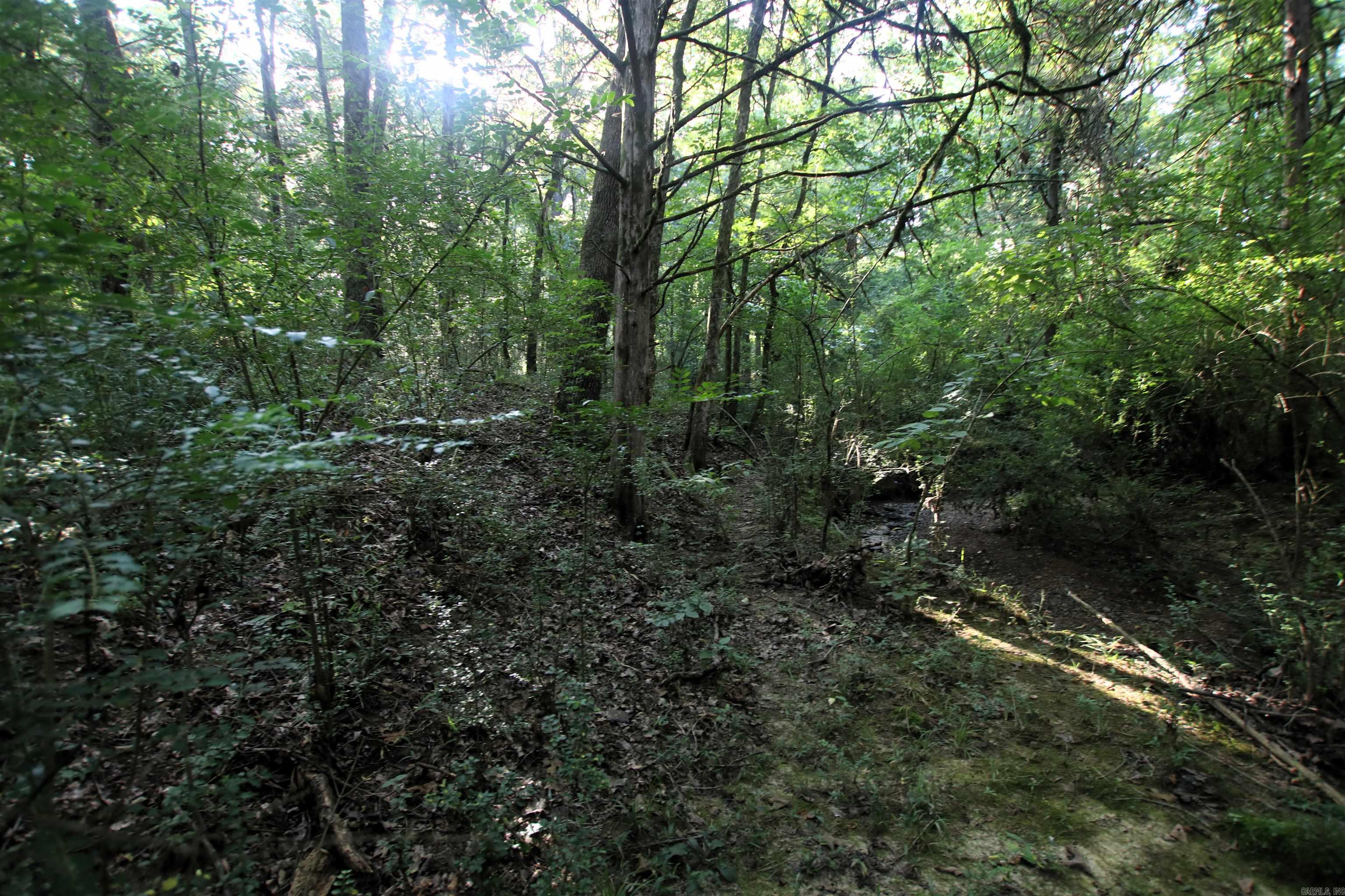 000 Caney Valley  Plumerville, AR