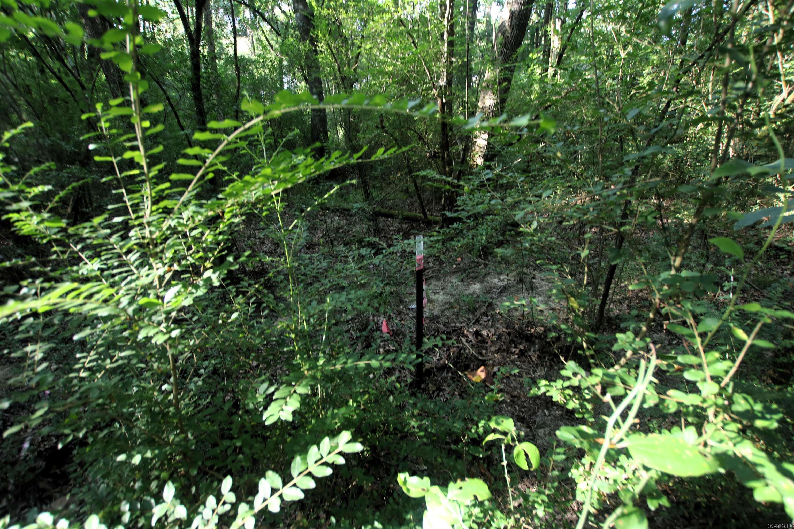 000 Caney Valley  Plumerville, AR