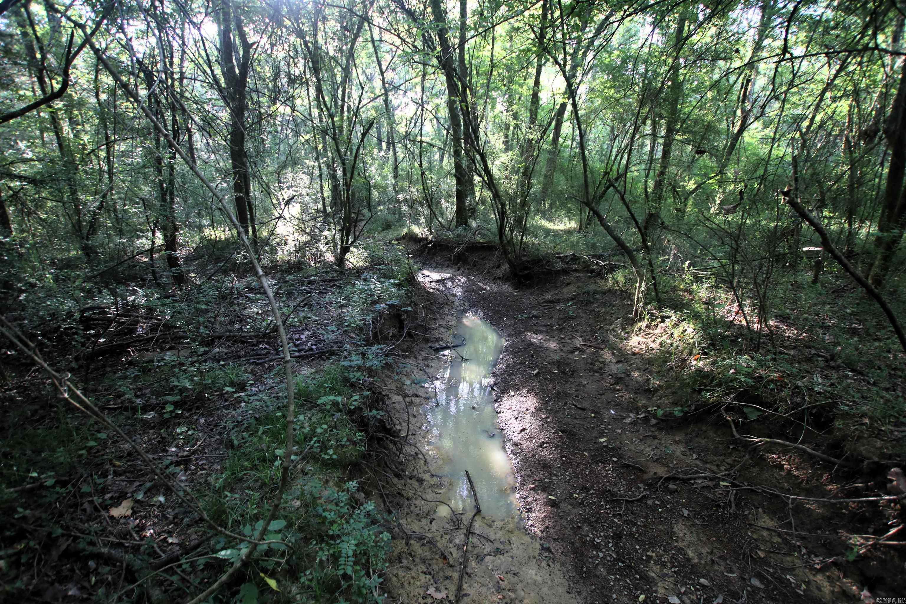 000 Caney Valley  Plumerville, AR