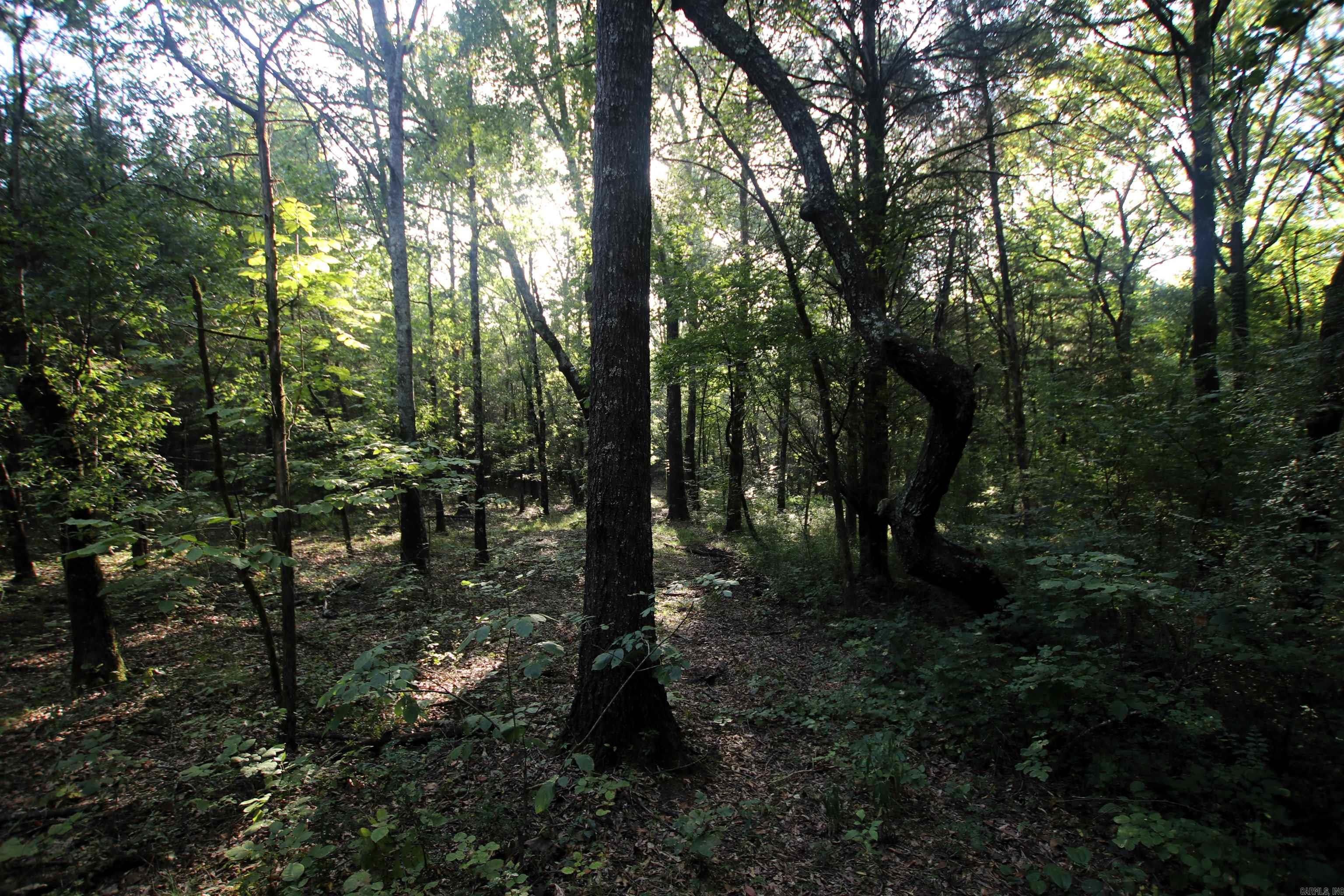 000 Caney Valley  Plumerville, AR