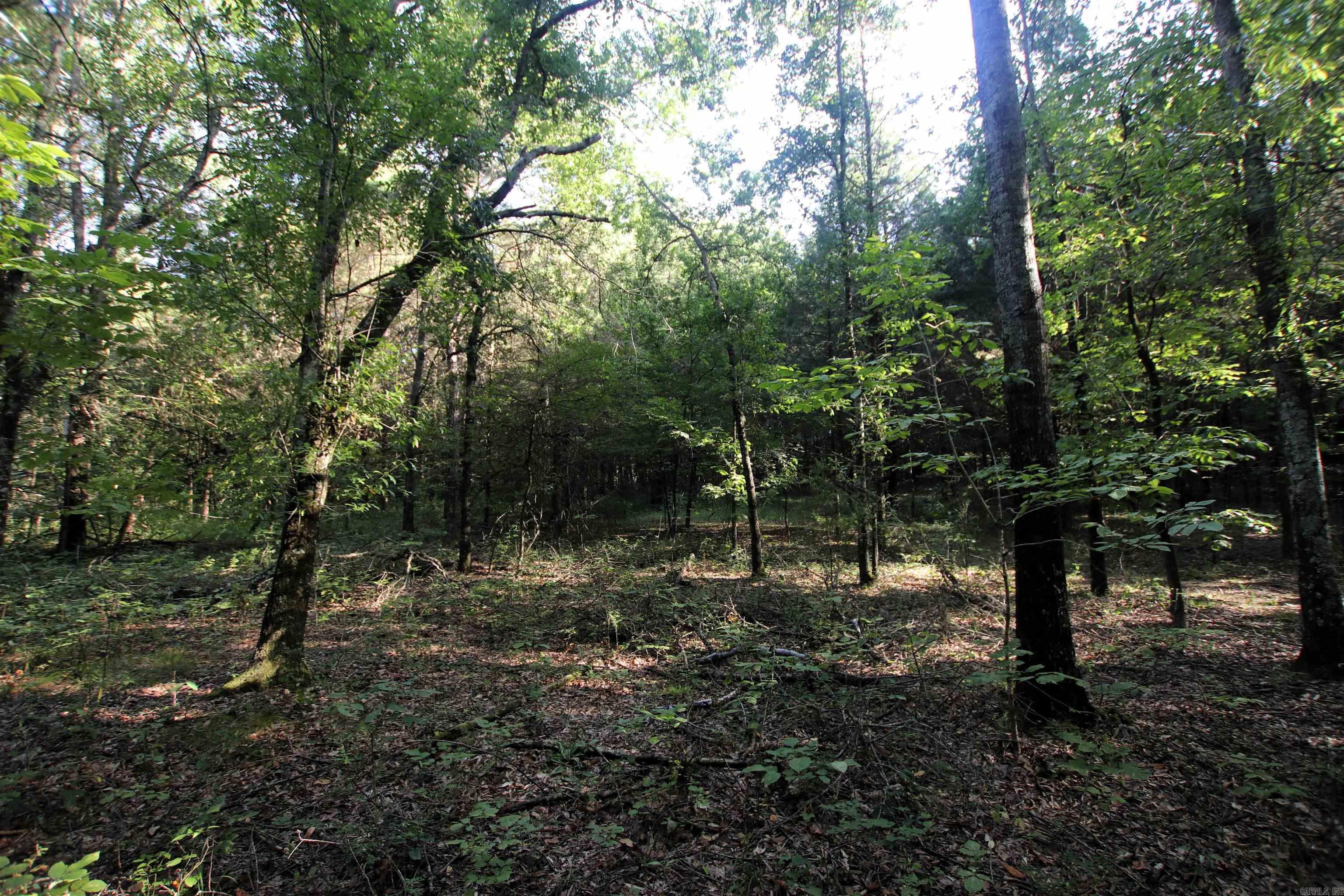 000 Caney Valley  Plumerville, AR
