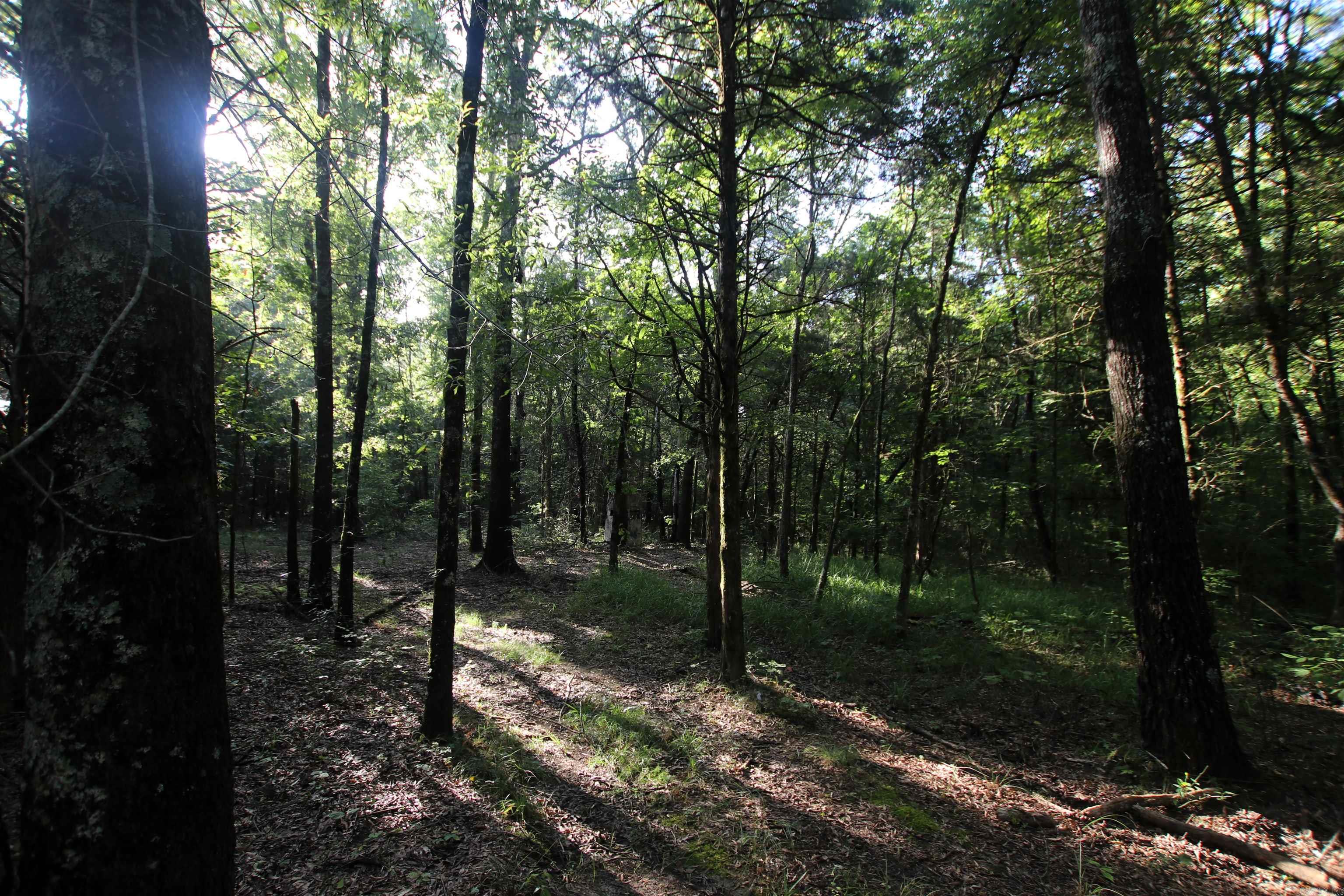 000 Caney Valley  Plumerville, AR