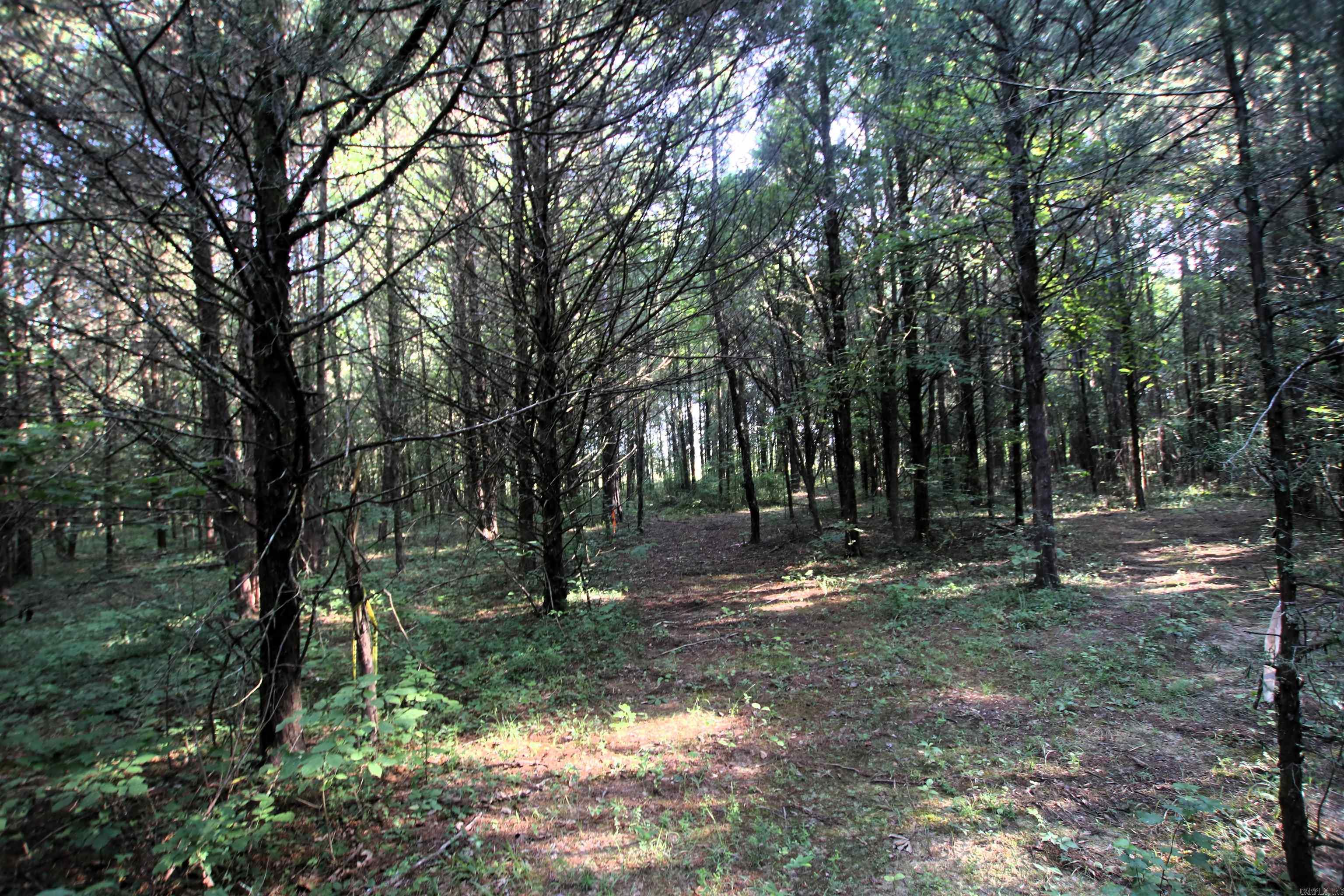 000 Caney Valley  Plumerville, AR